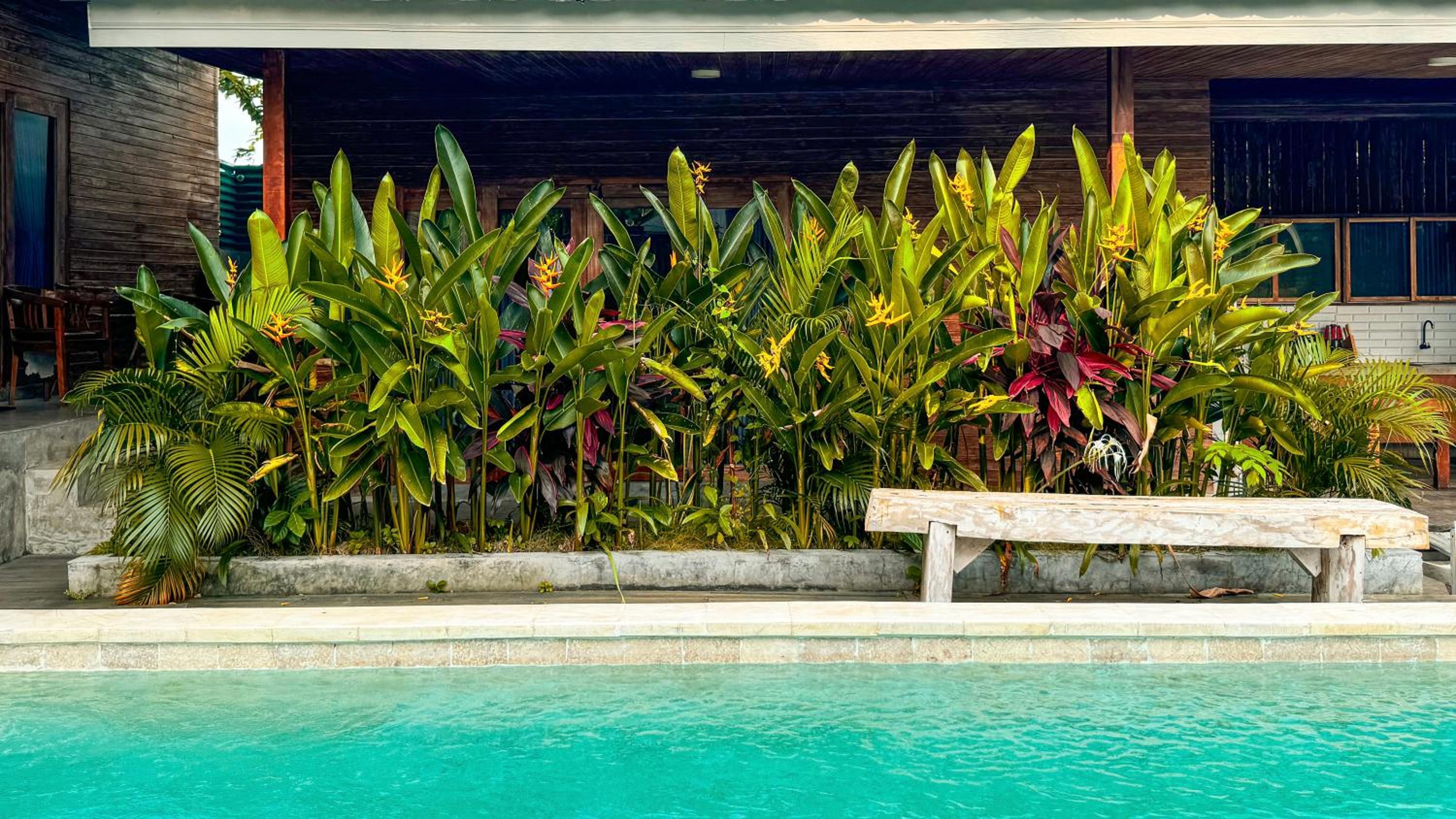 Bungalow Surya Jungle