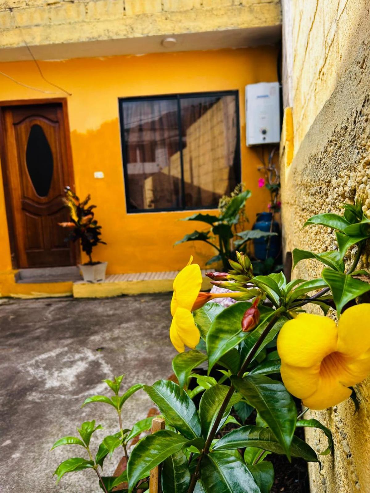 La Casa de Romina view 4