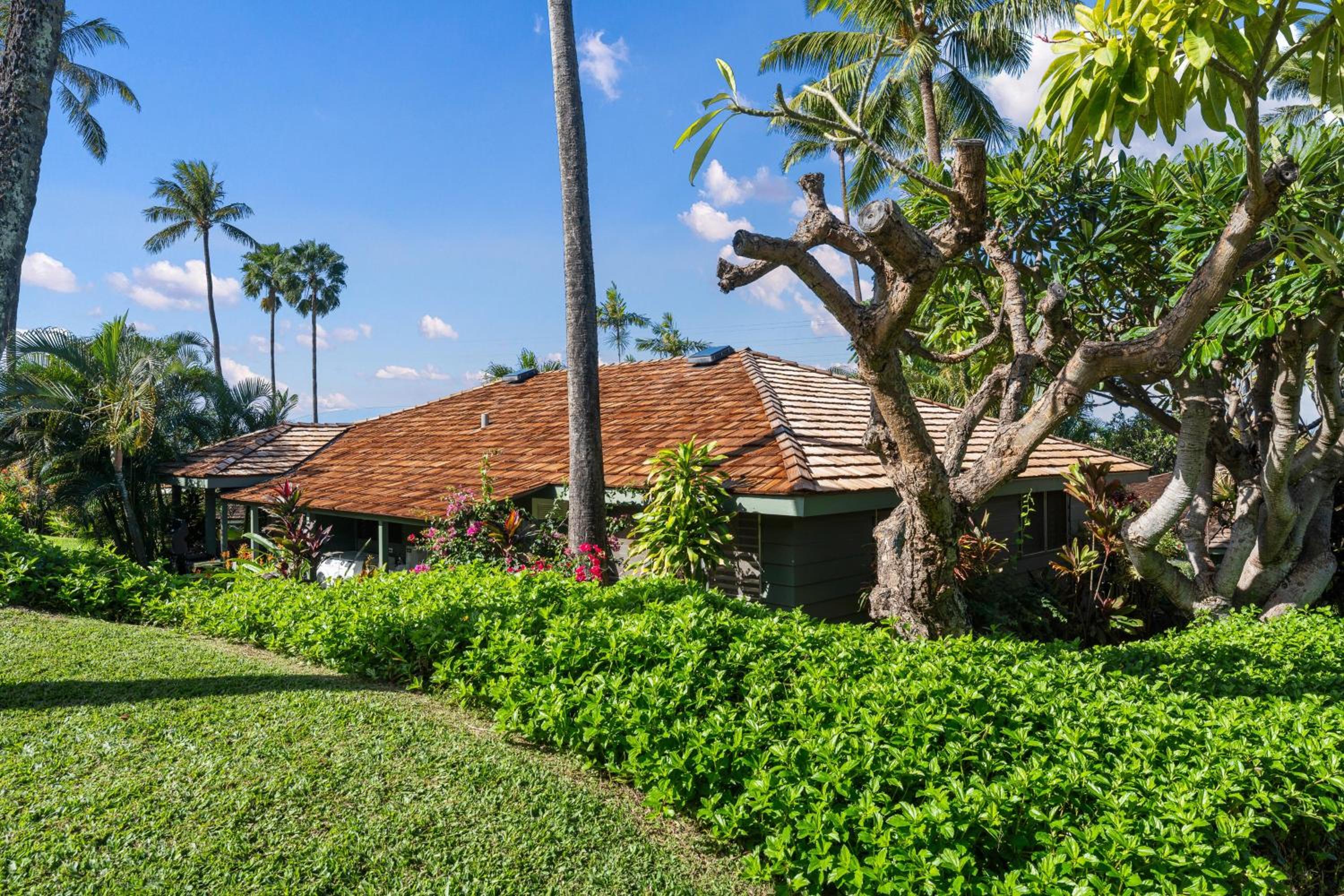 International Colony Club 37 · ICC 37 Remodeled Hawaiian Cottage view 3