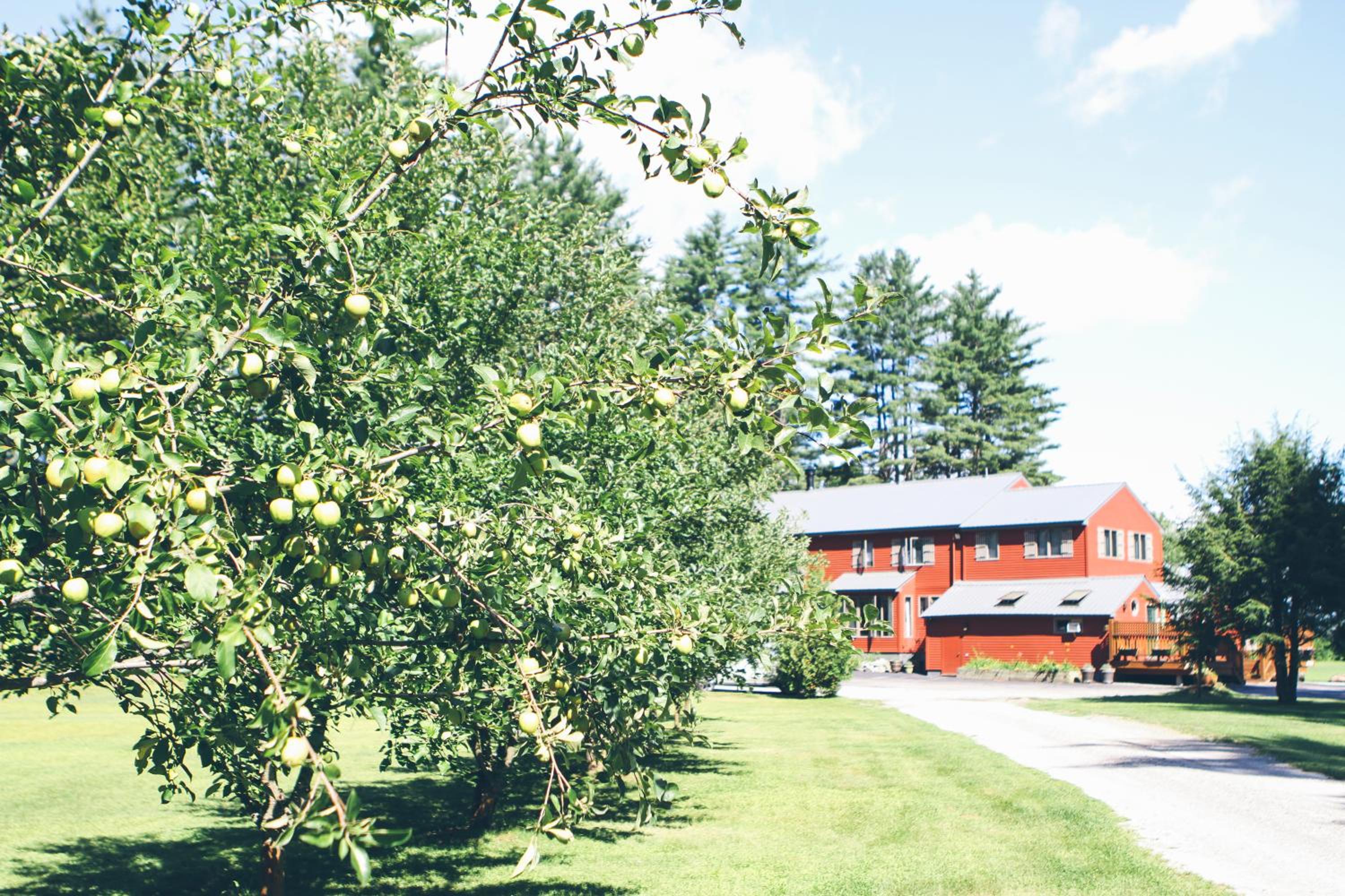 Old Saco Inn