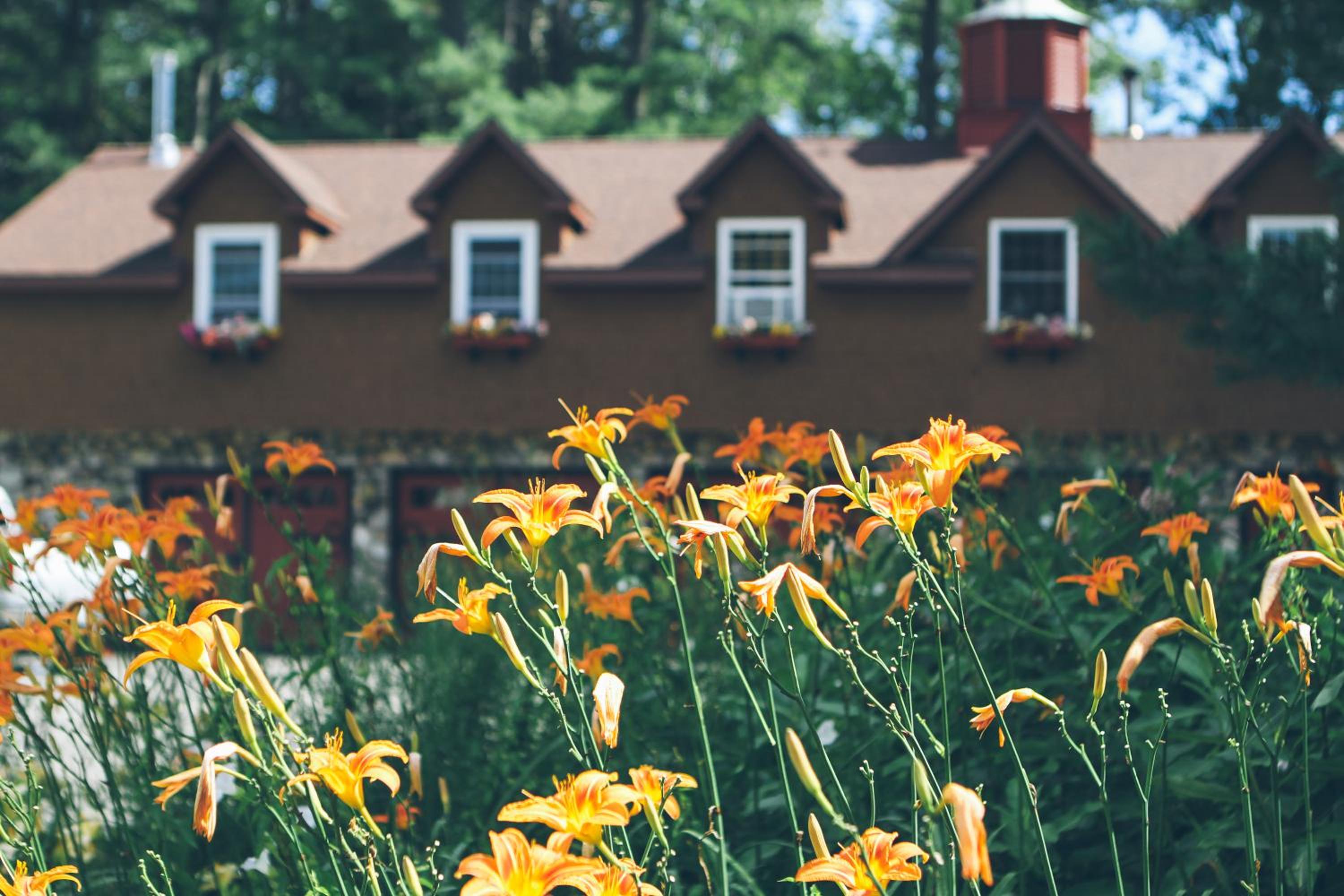 Old Saco Inn