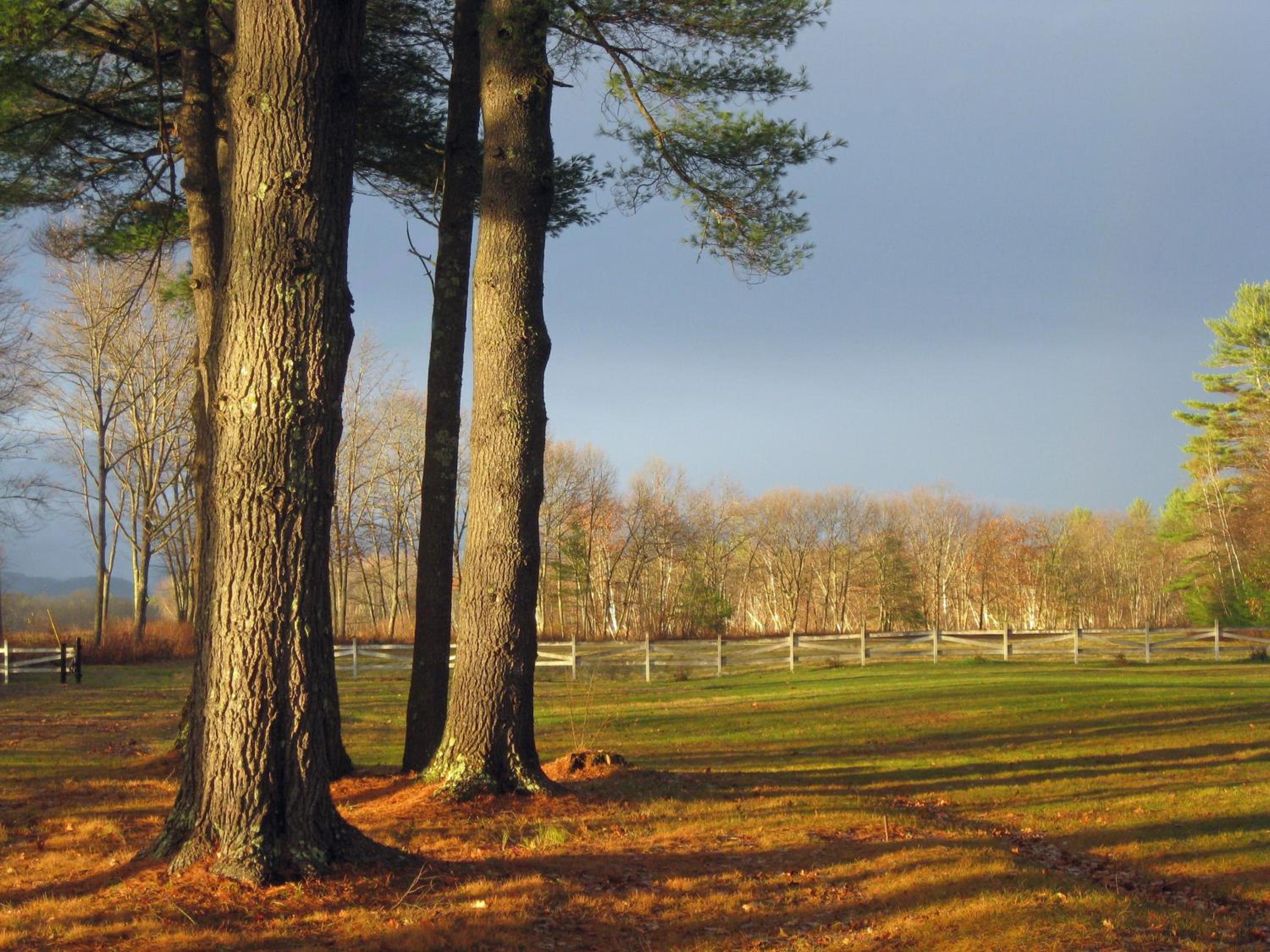 Old Saco Inn