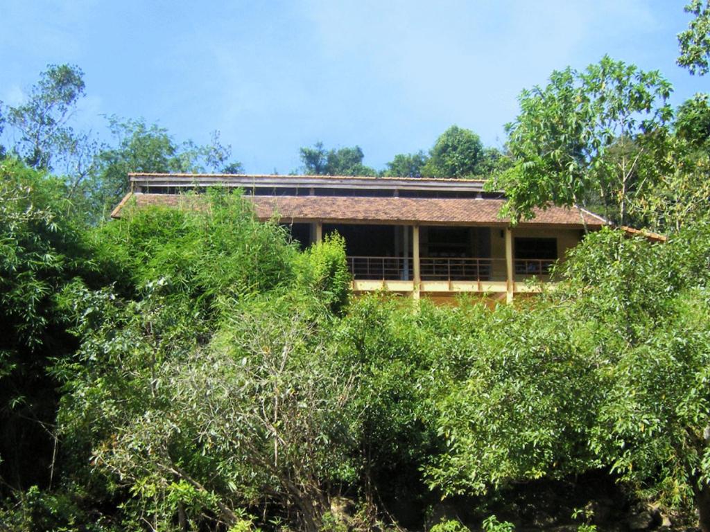 Forest Floor Lodge view 4