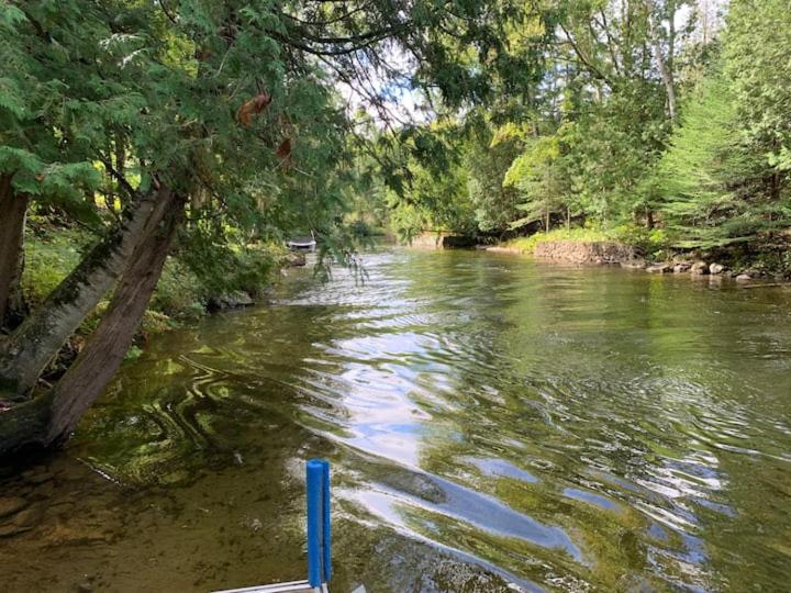 River Oasis