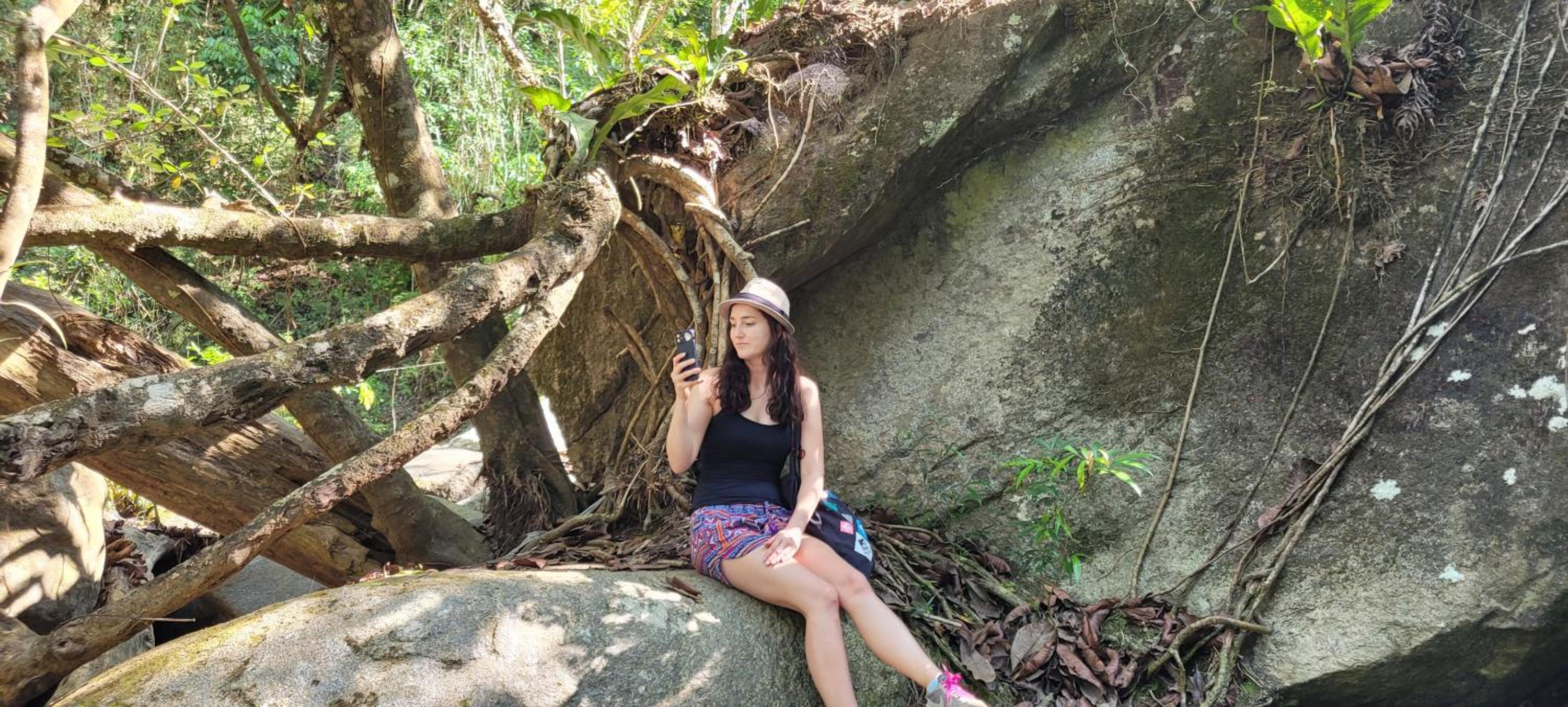 Sierra Jungla