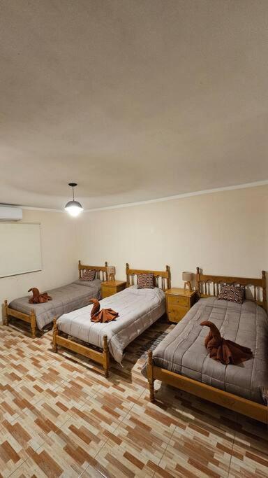 Residencia completa