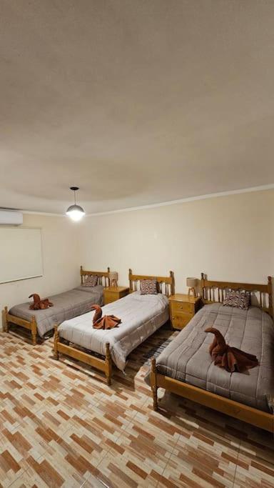 Residencia completa