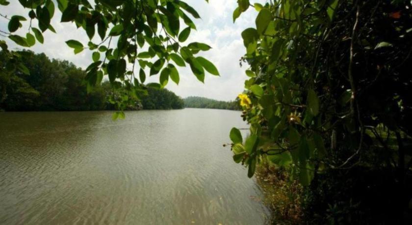 Mangrove Escapes Resort