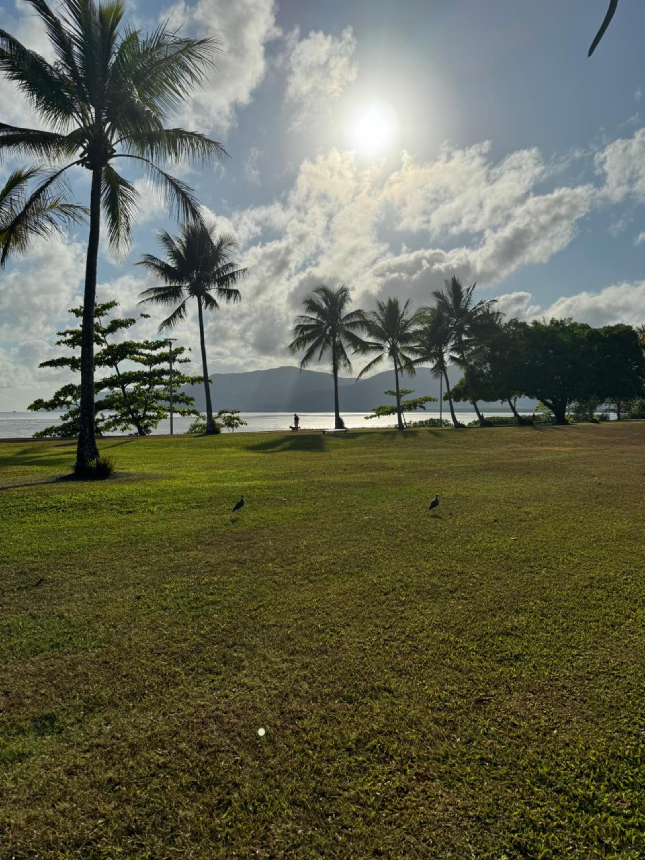 Oceanbreeze Apartment in Cairns North