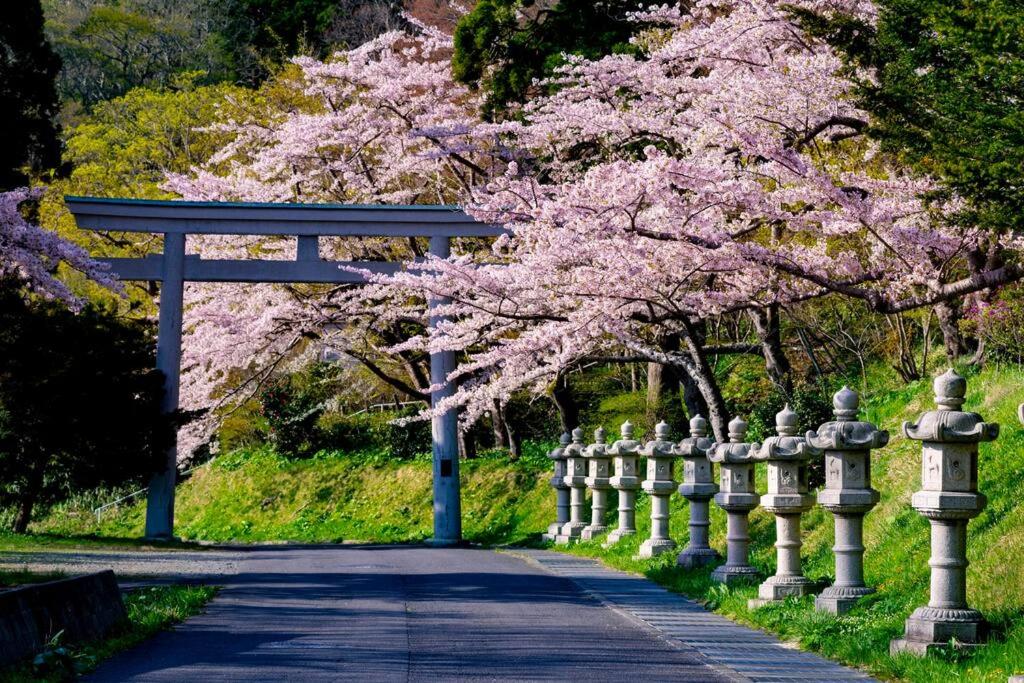 villa the rise hakodate view 5