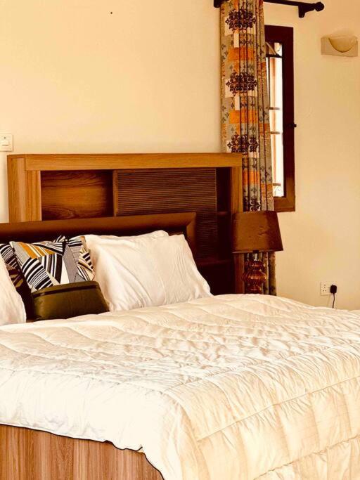 Aspen Luxury Villa, photo 40