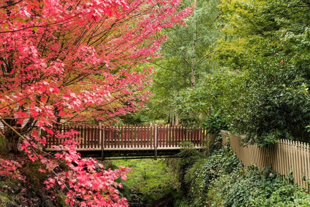 The Quarters at Windsor House Walhalla