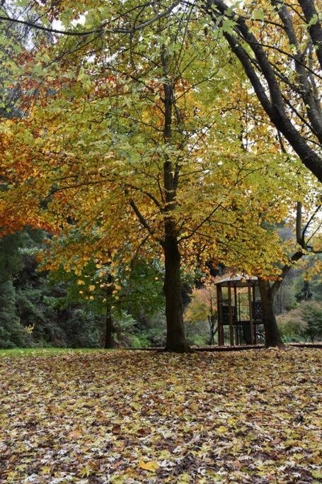 The Quarters at Windsor House Walhalla