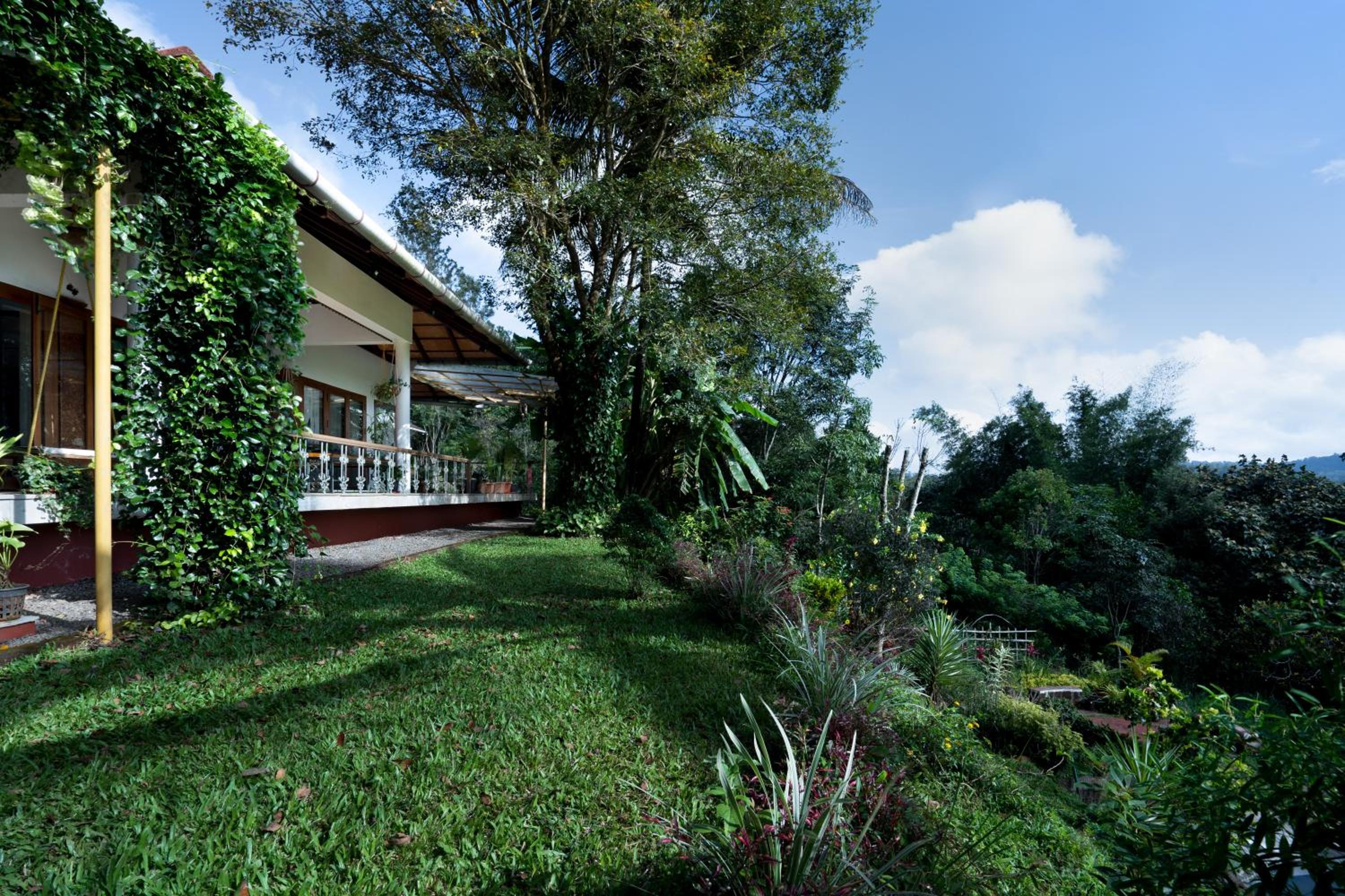Deja View, Wayanad by Luxunlock view 3