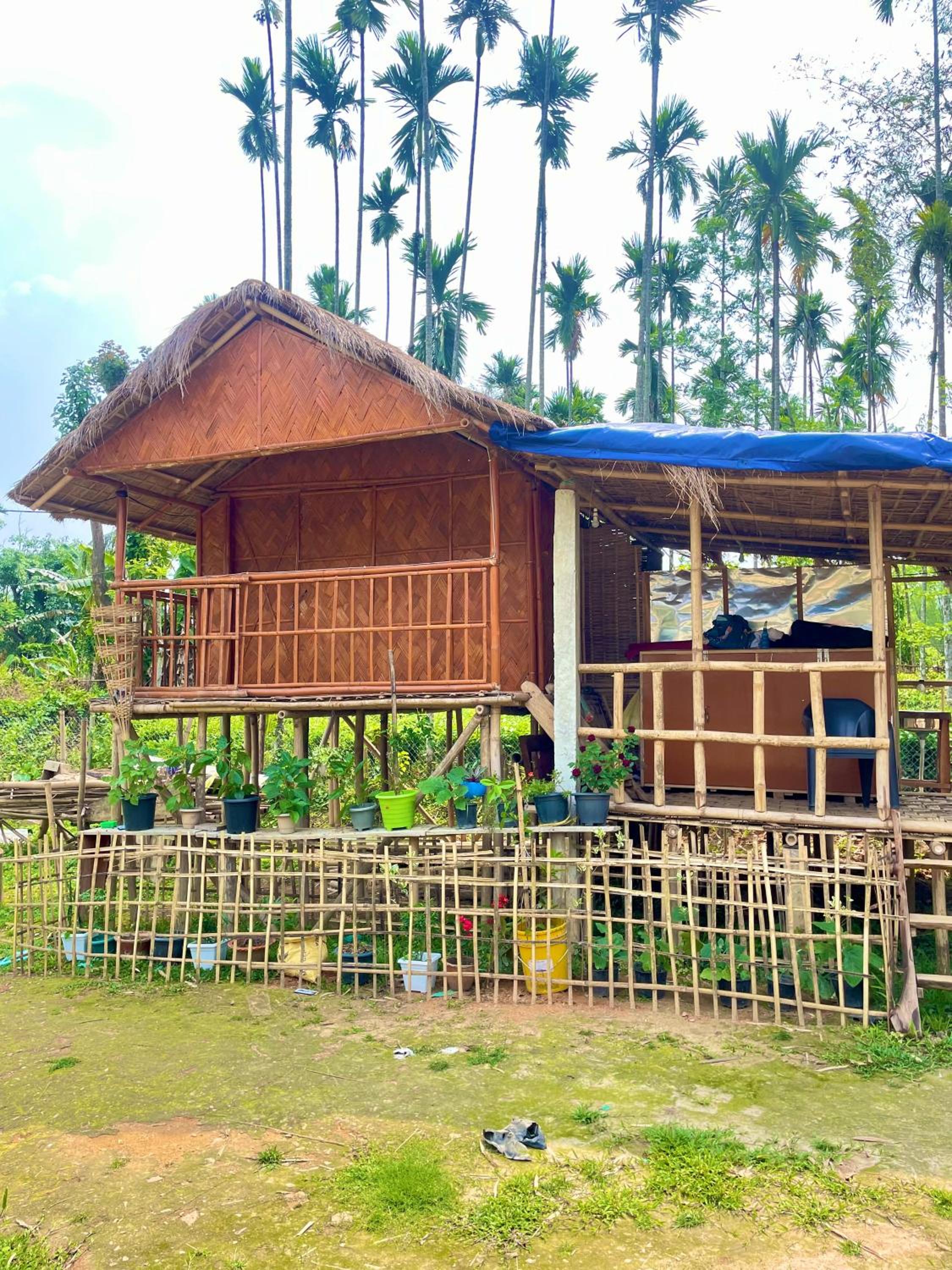 Kaziranga Farmstay