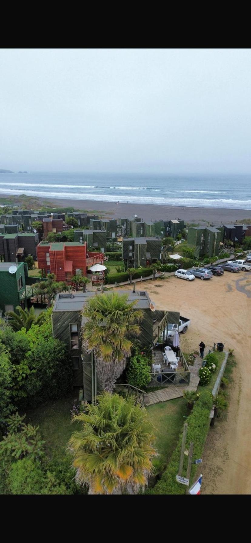 punta de lobos