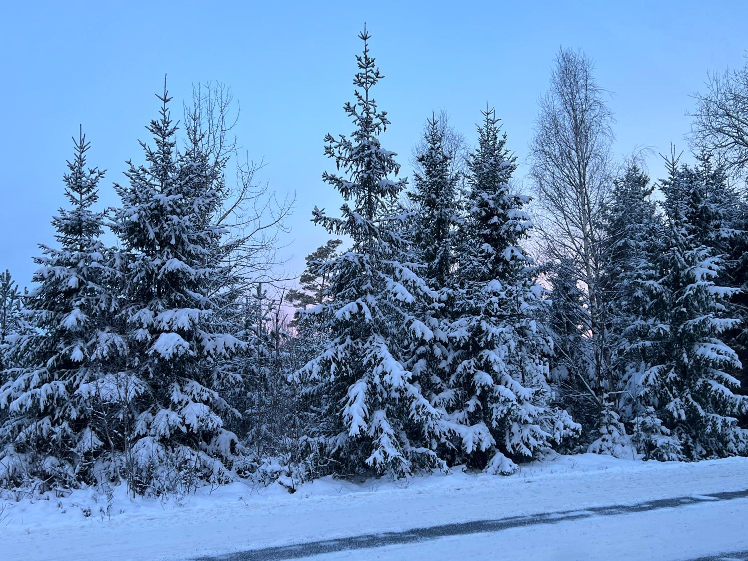 Nissafors