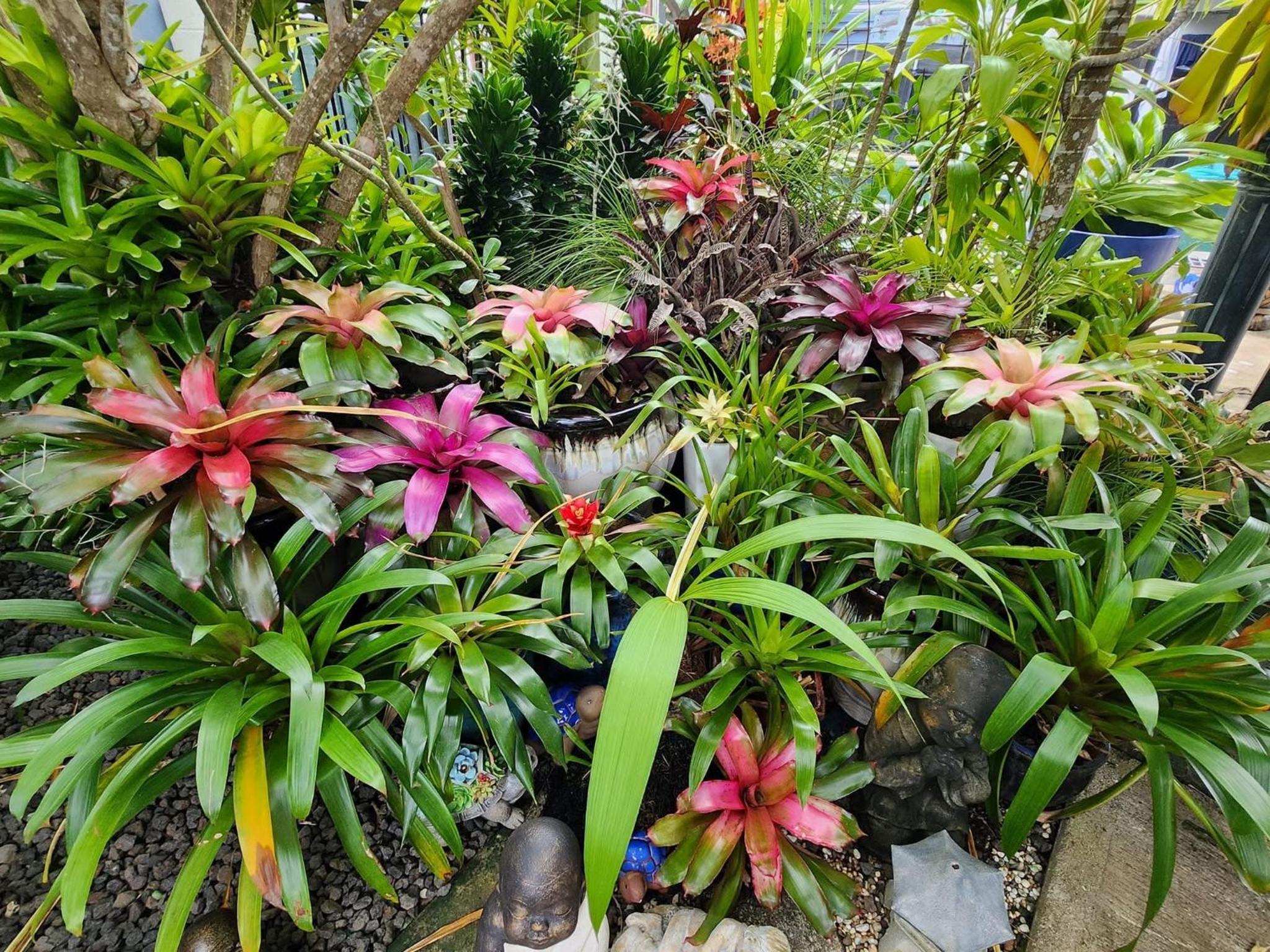 Faiths Island Oasis view 2