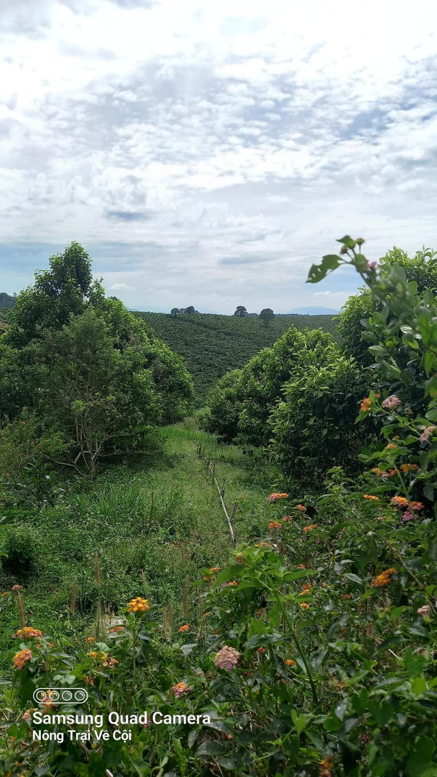 Nông Trại Về Cội - The Original Farm view 3