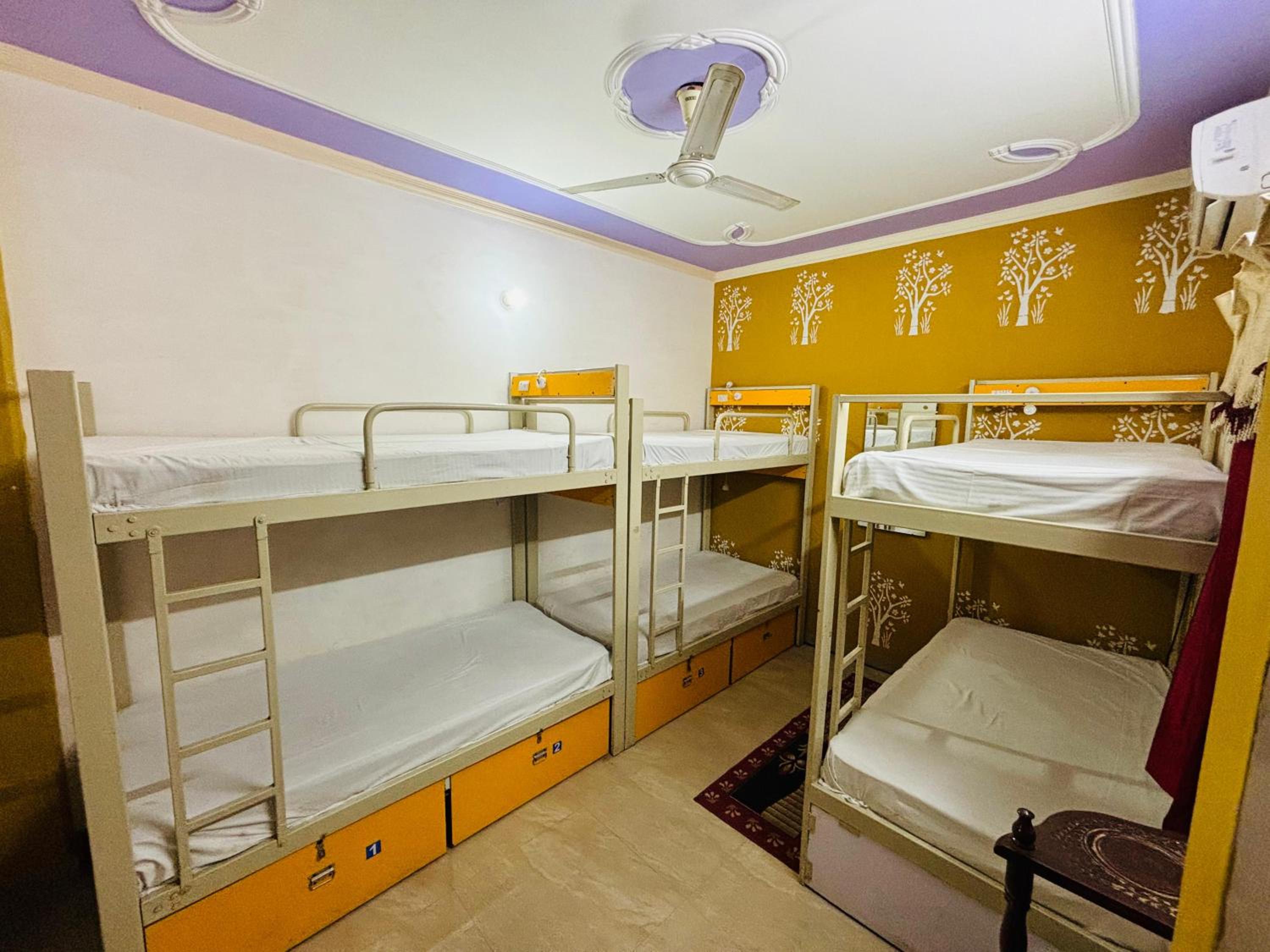 Friends Guest House & Hostel- near TAJ MAHAL