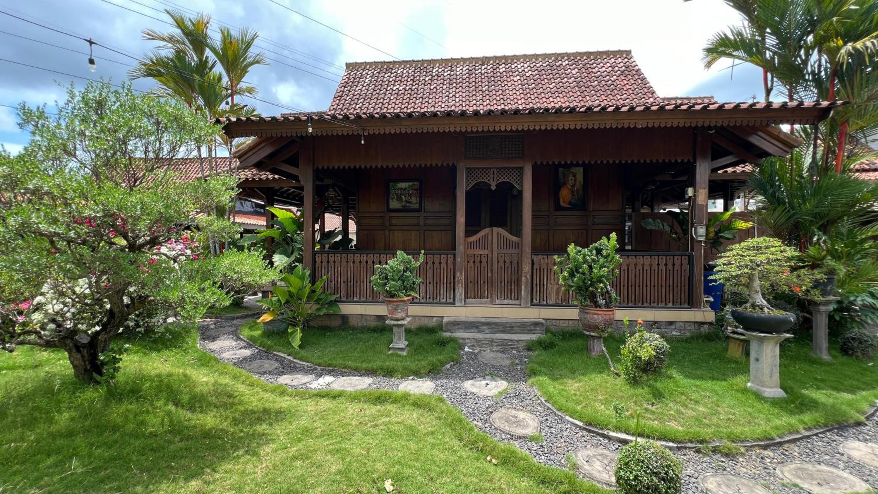 Photo 19
