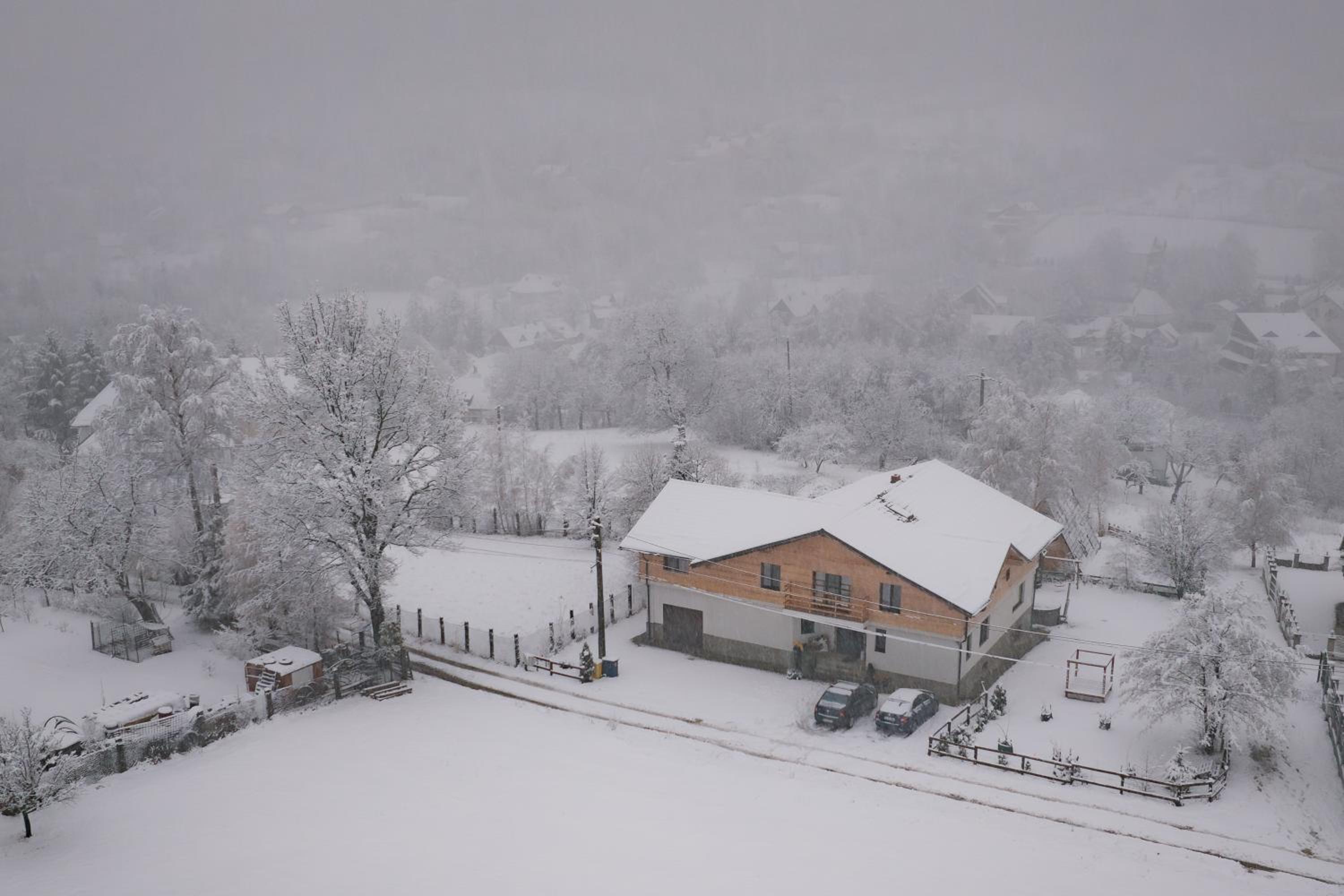 Bran Mountain Living