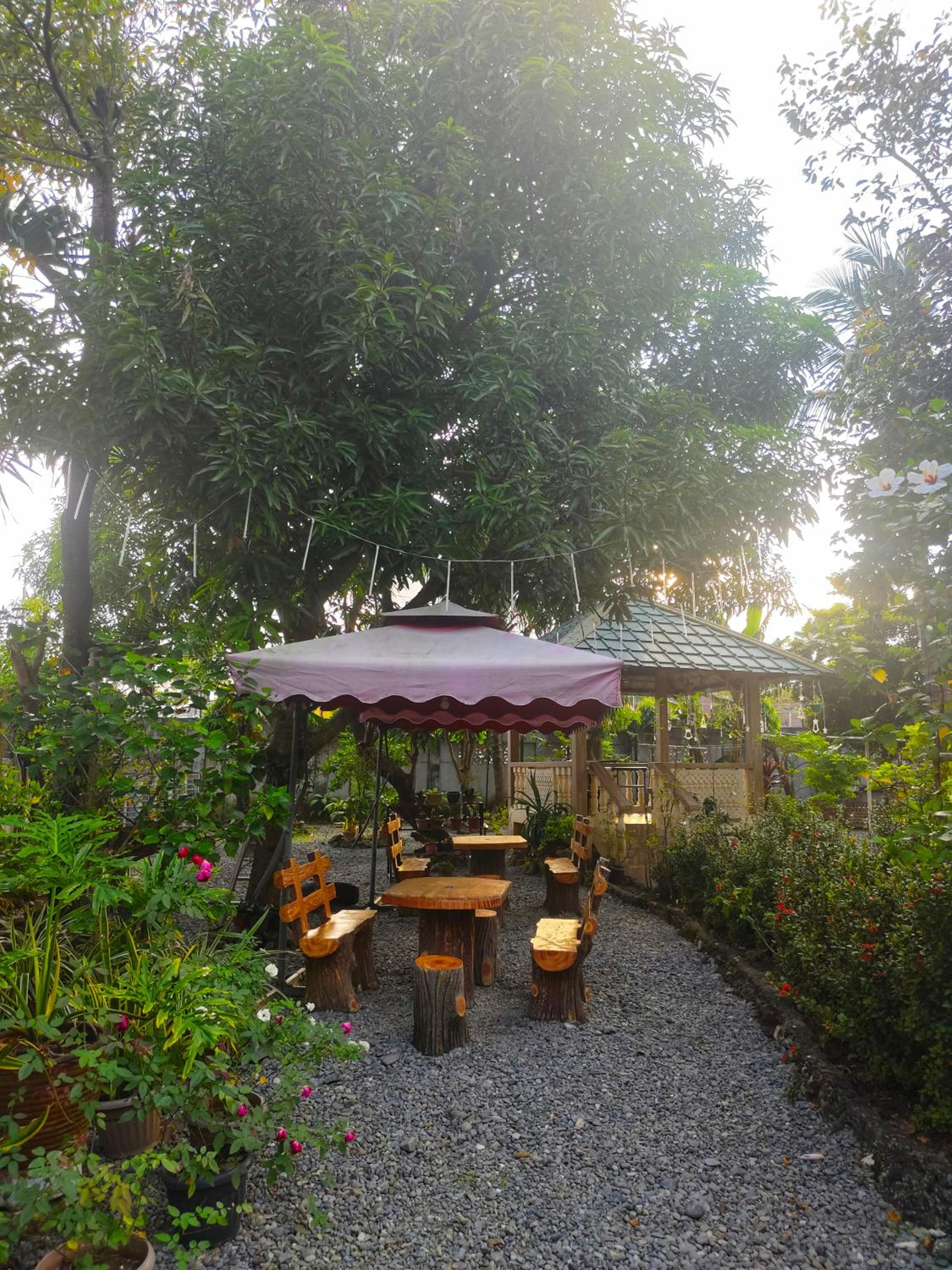 Monte Rio Gardens Bed & Breakfast view 5