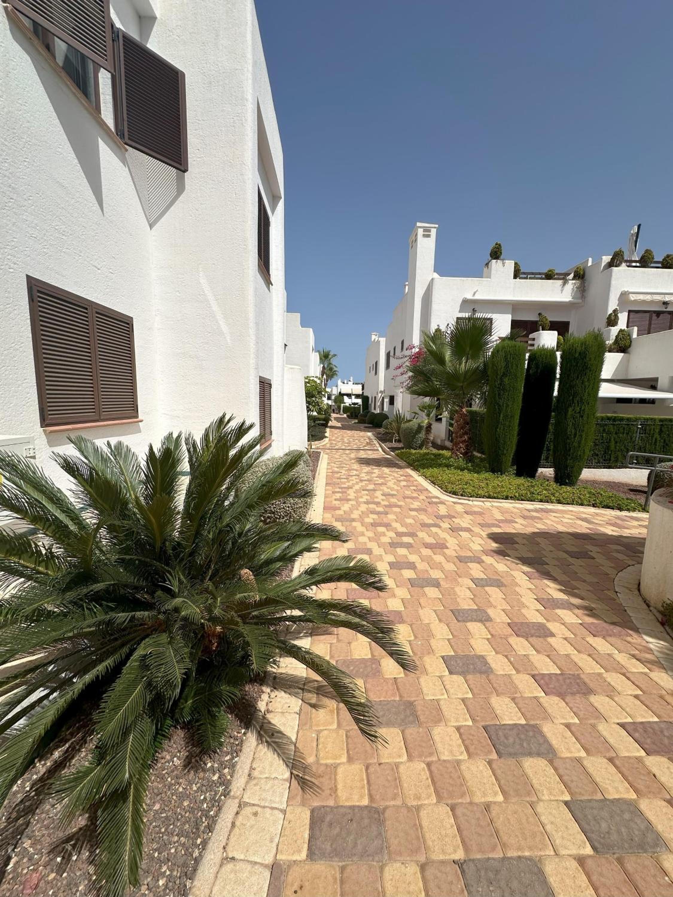 Casa Selisa F3 view 3