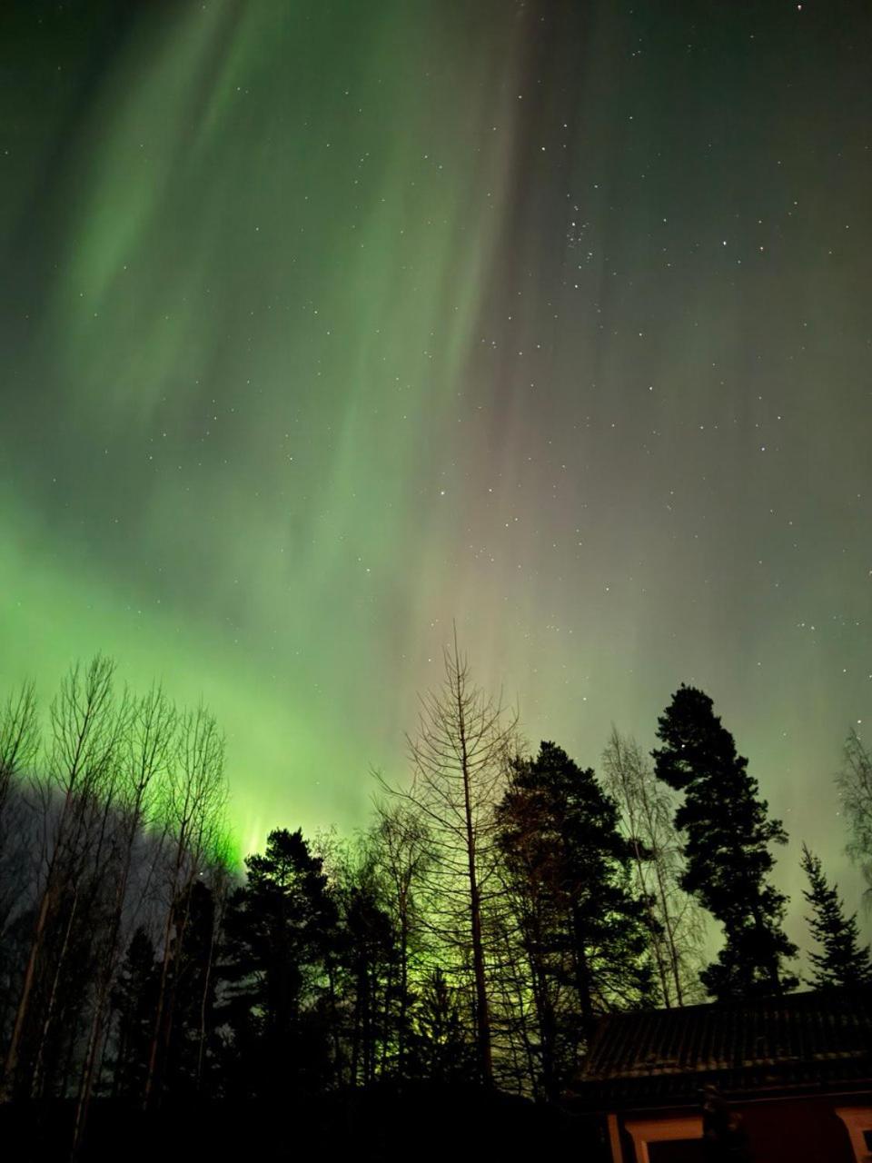 Lossisaari Tourist Center