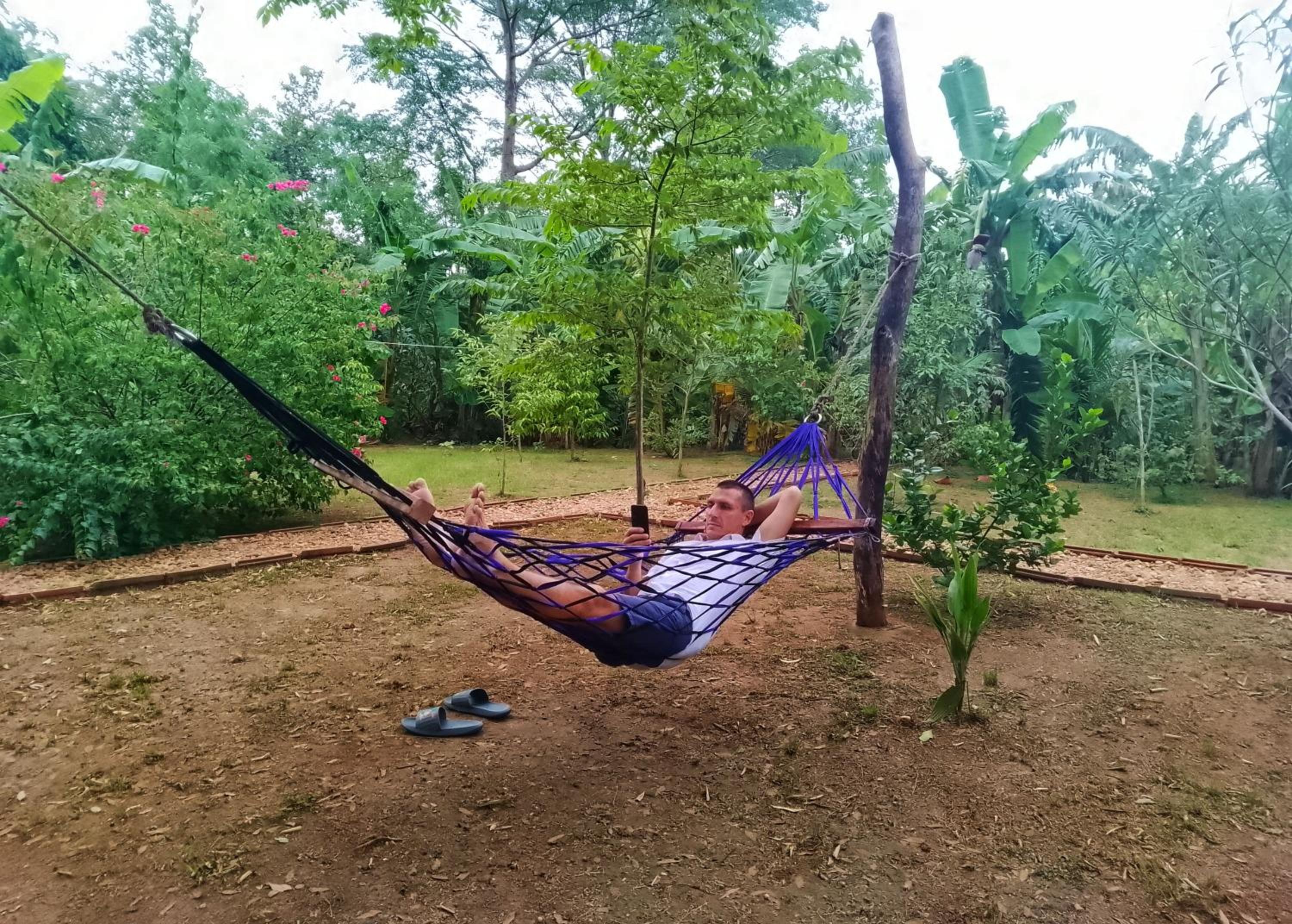 Banana Shade Cottage