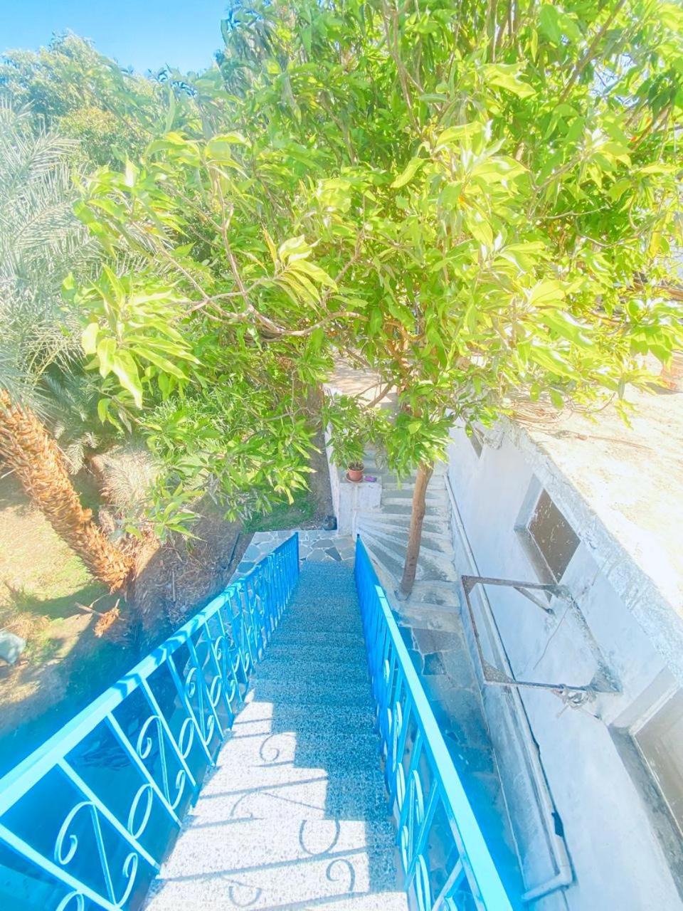 Nile View Guest House