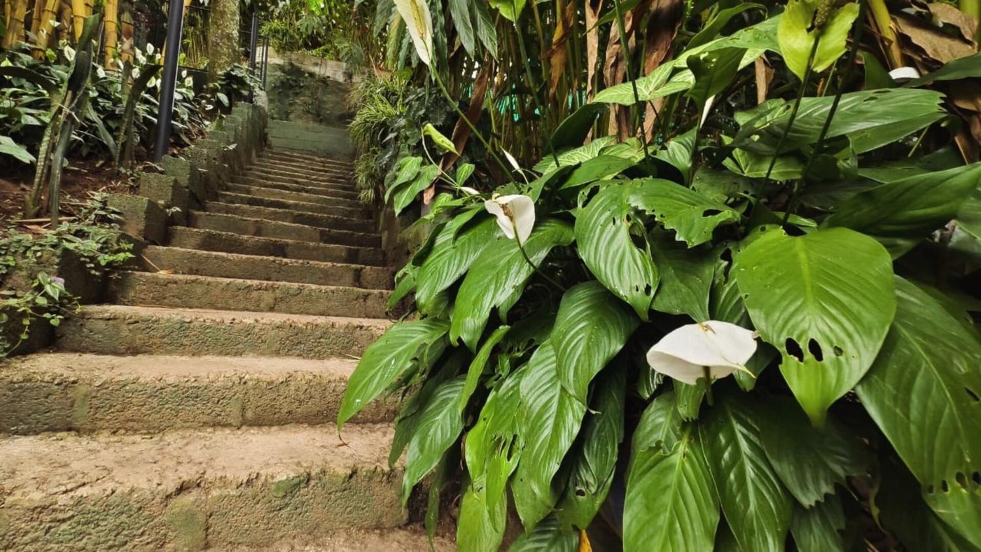 Lush Acres