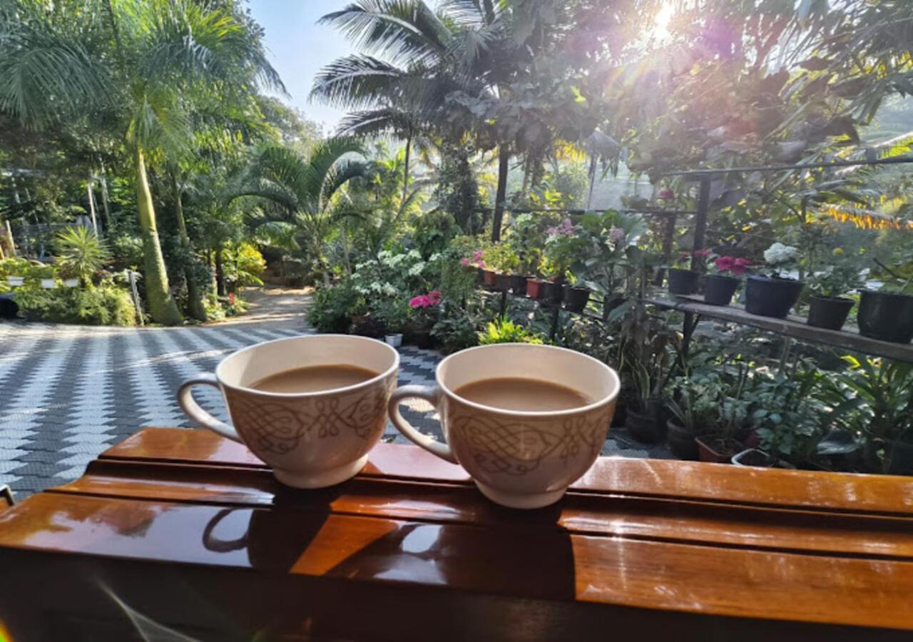 Lush Acres