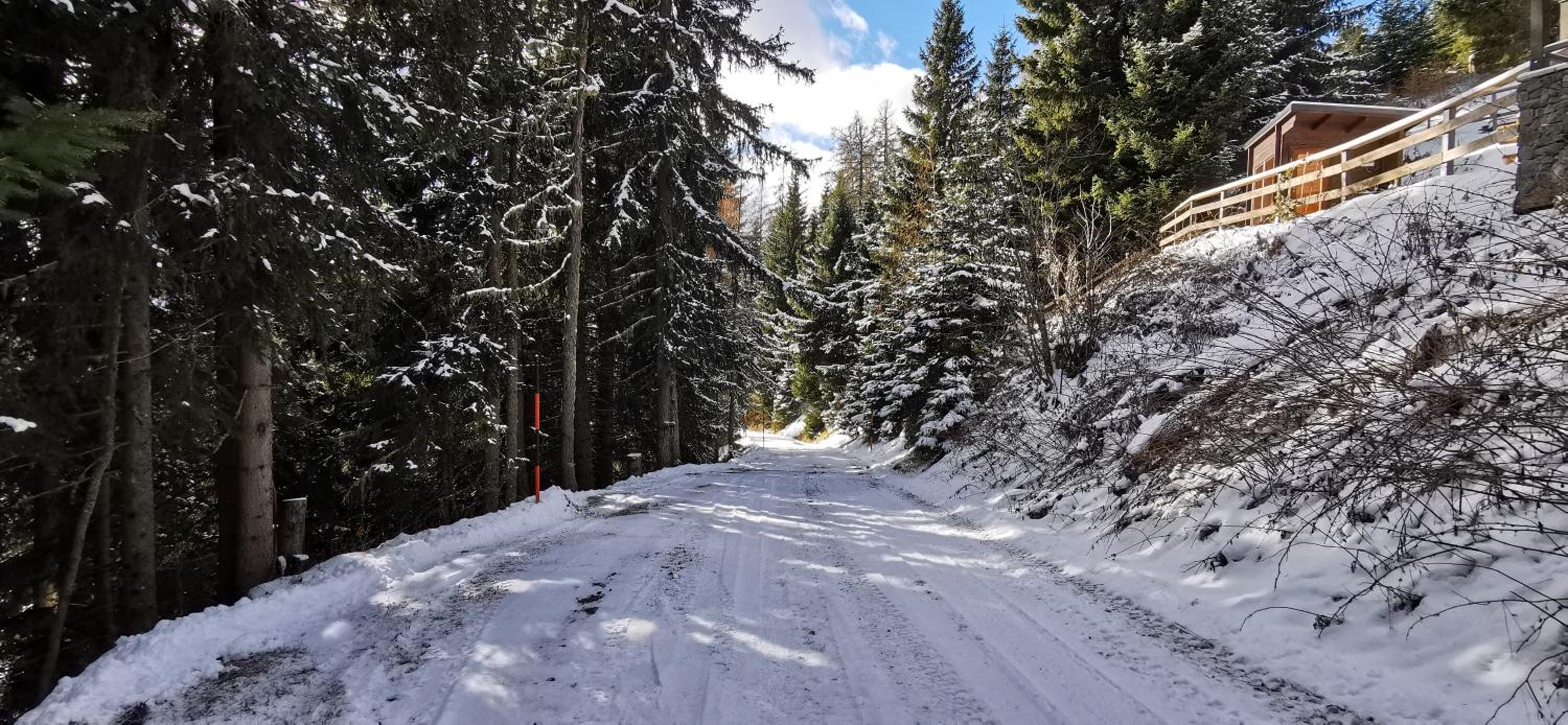 Chalet Alpl - Ferienwohnung Waldblick mit Sauna, Kamin & Whirlwanne