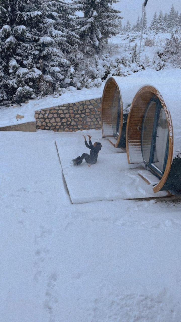 Bungalows Tea Žabljak photo 2