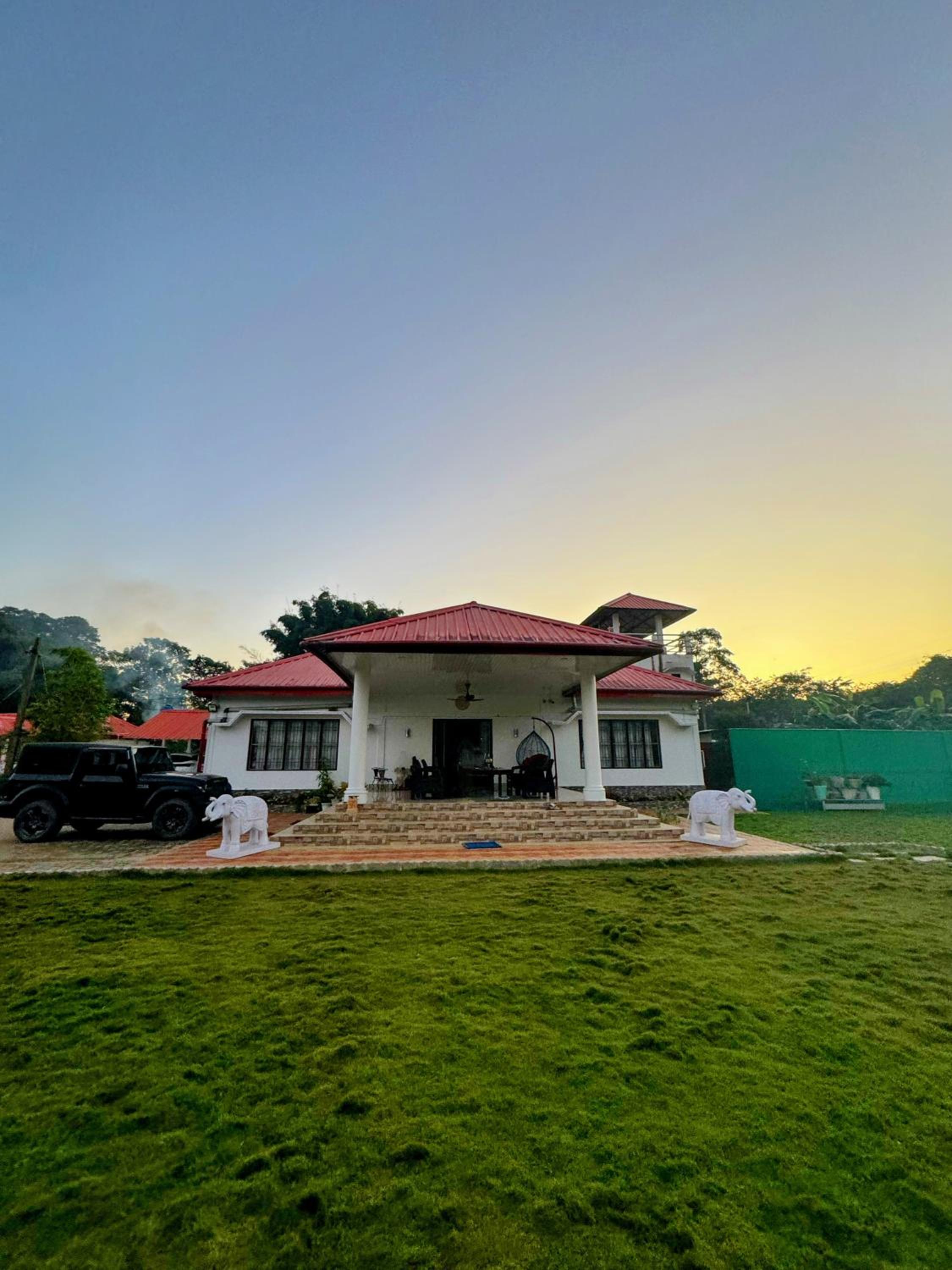 SereniTea Chaya