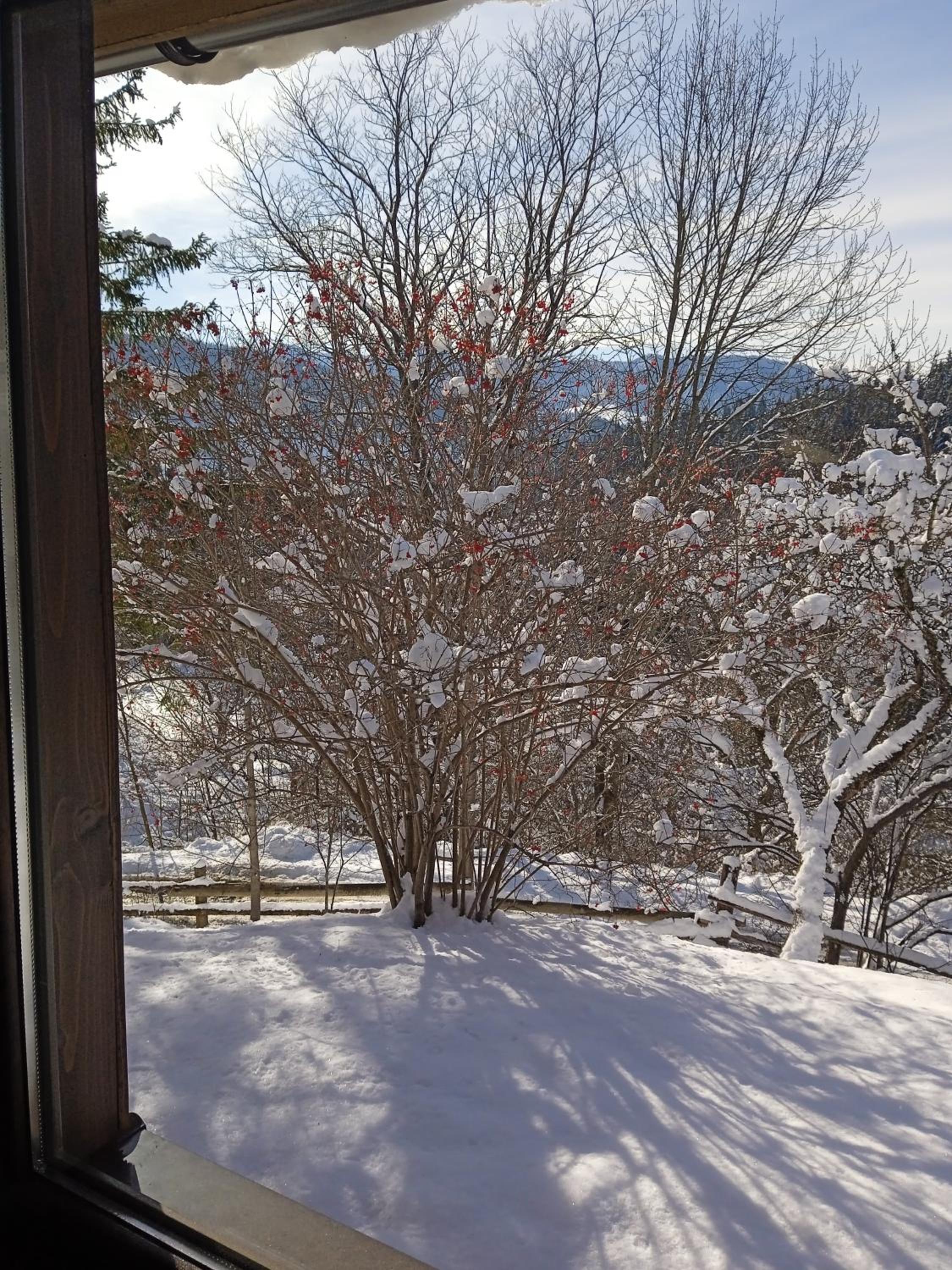 Vipche house view 5