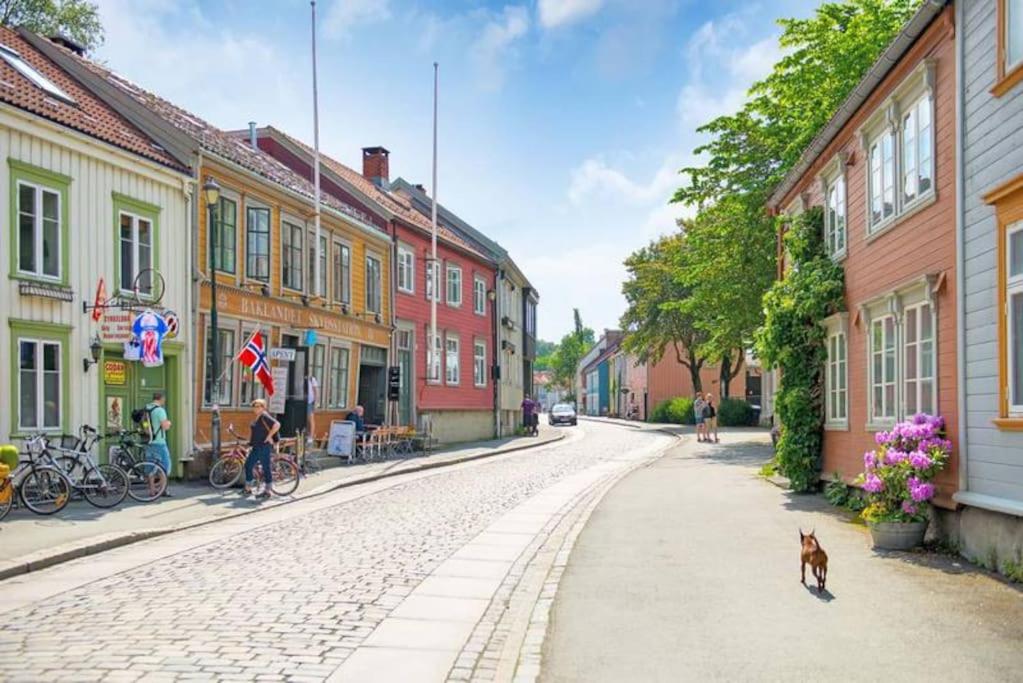 Sentral leilighet på Bakklandet