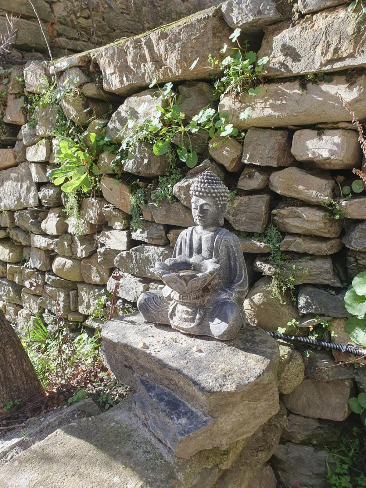 Photo 49
