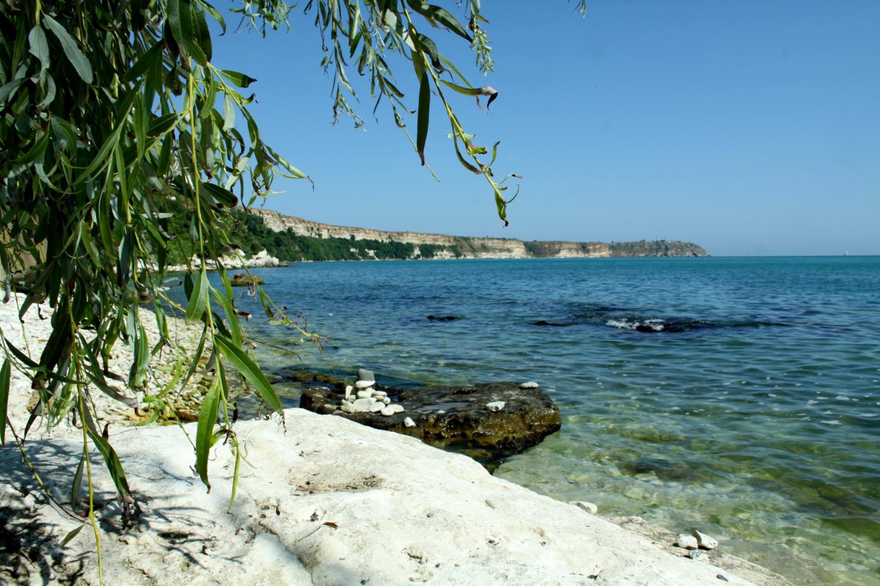 Photo 44