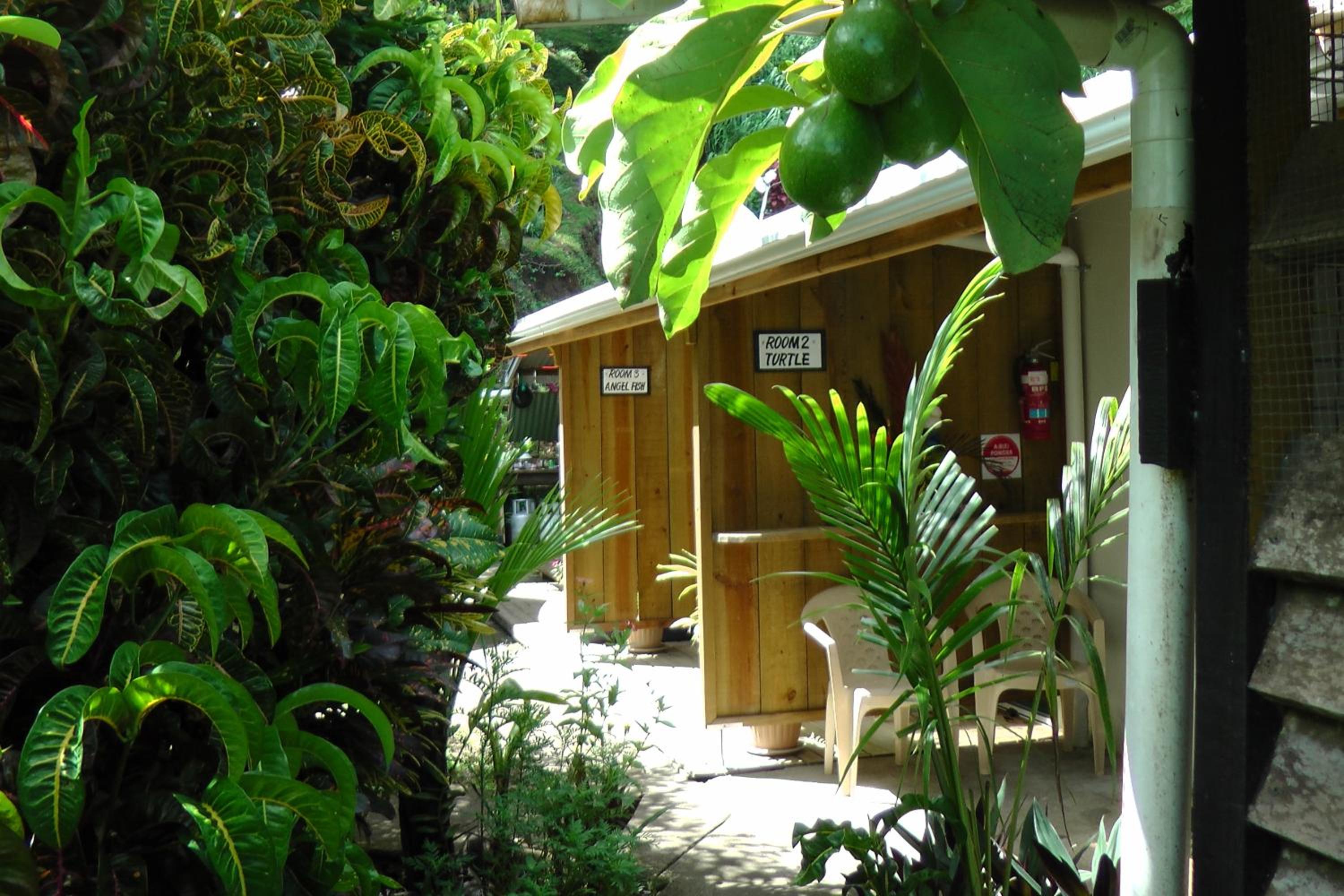 Gecko Lodge Fiji