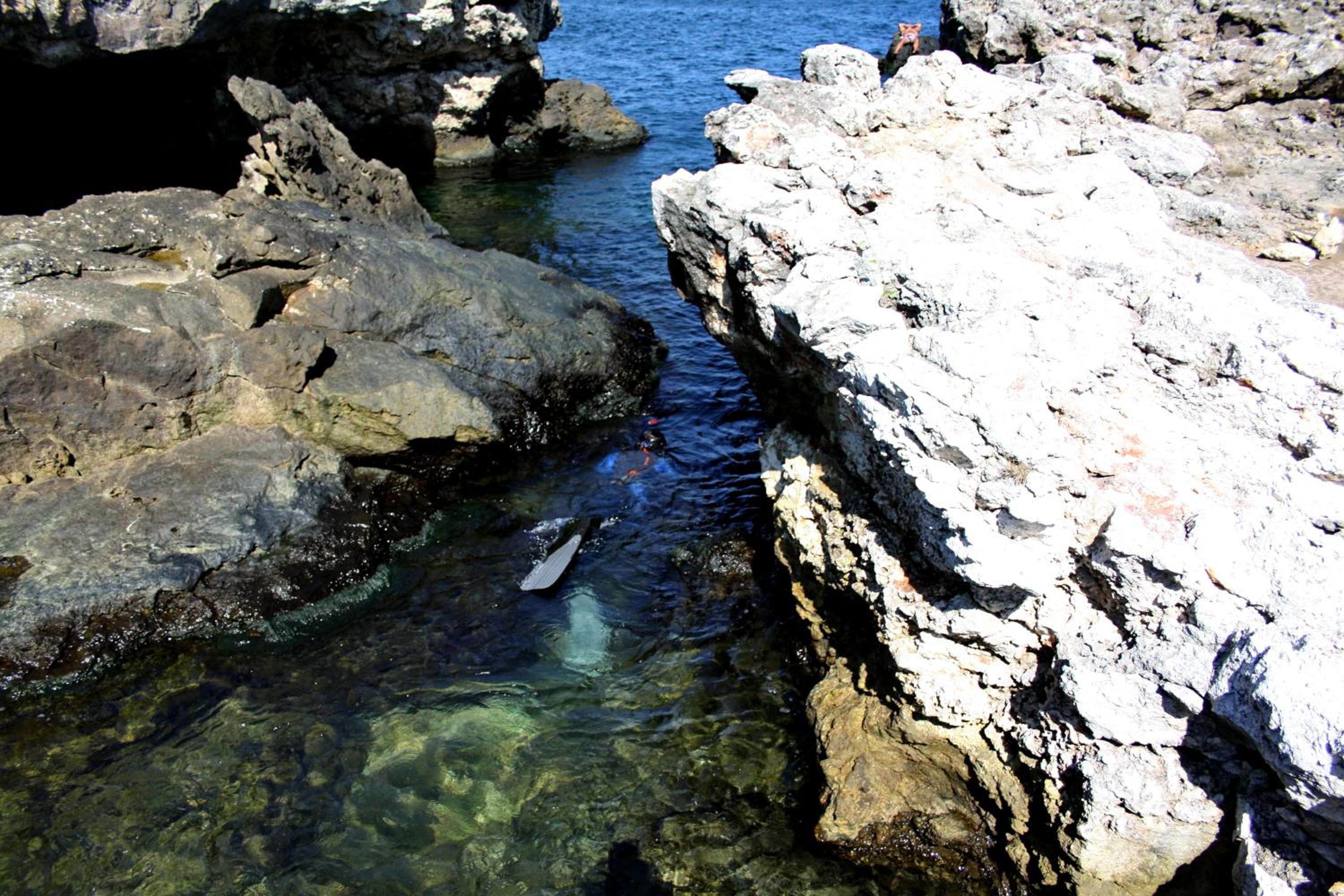 Photo 48