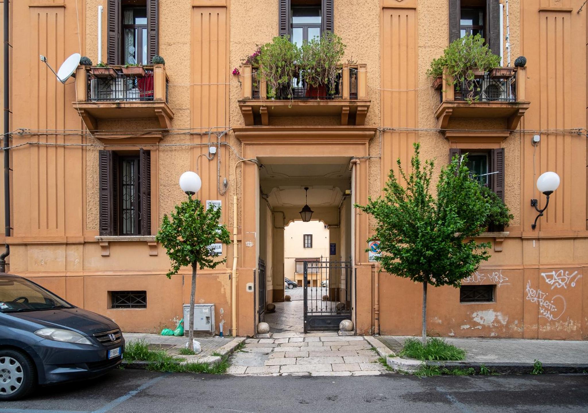 Il Lupo Della Sila view 3