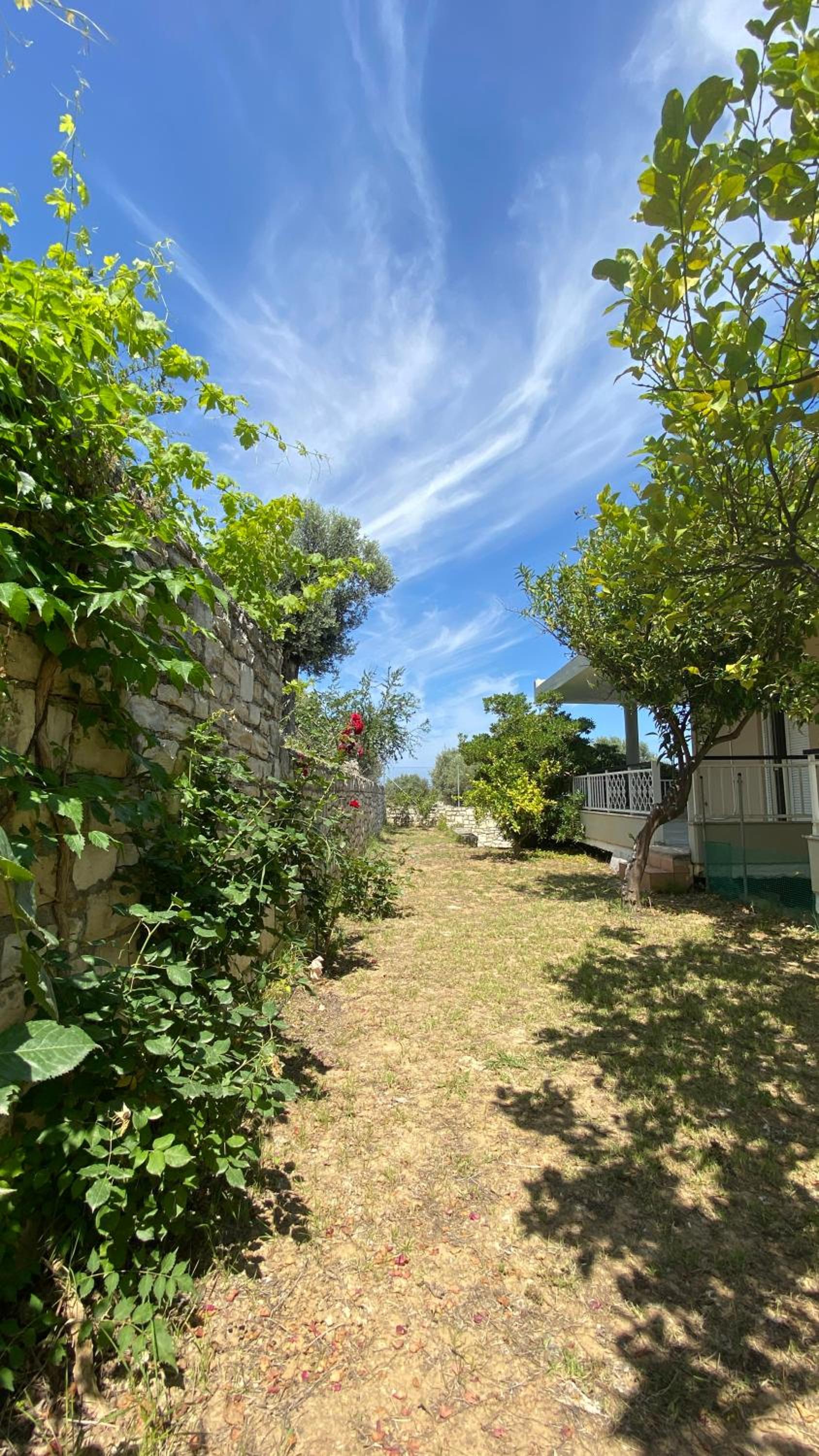 Villa George
