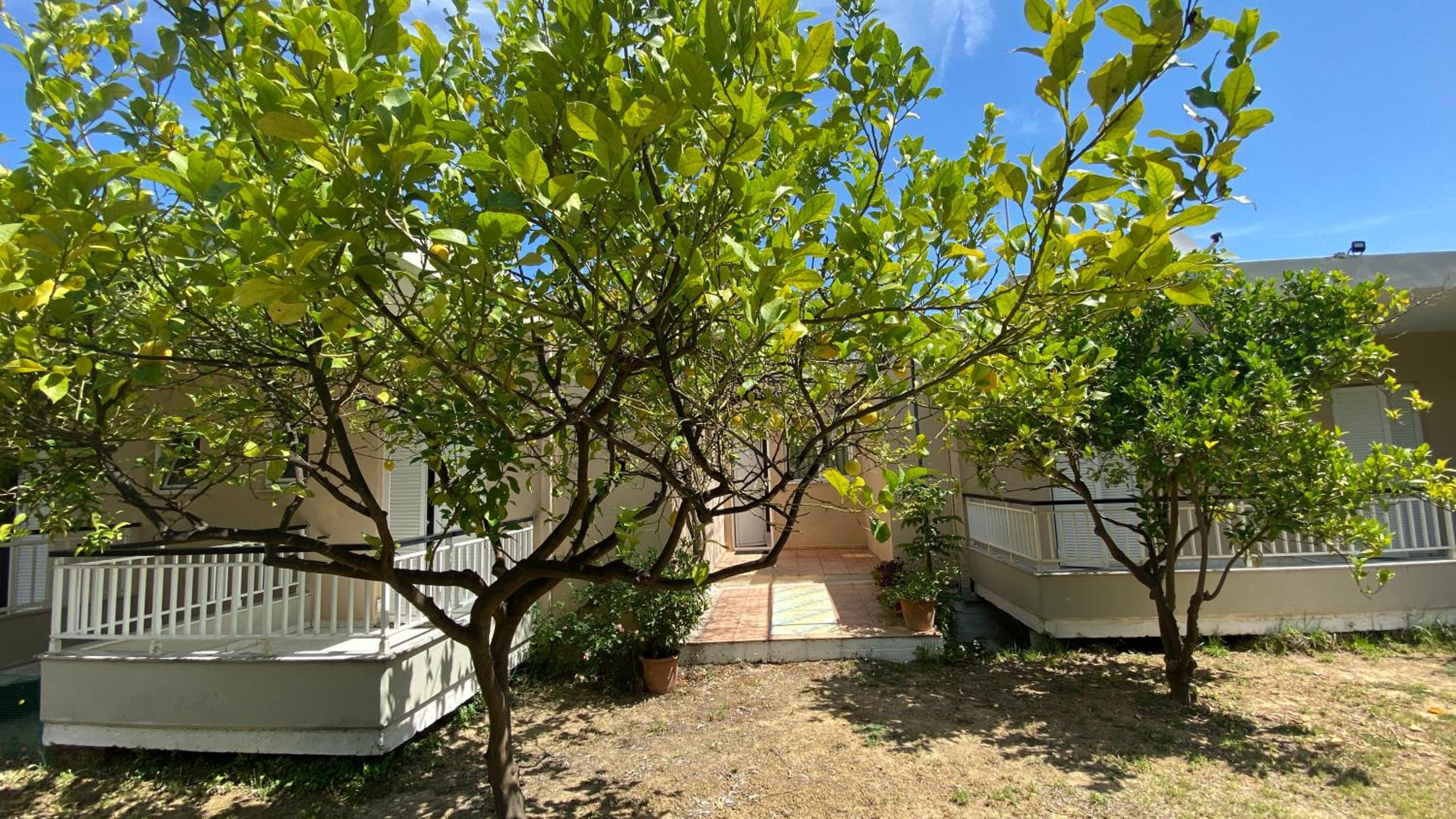 Villa George