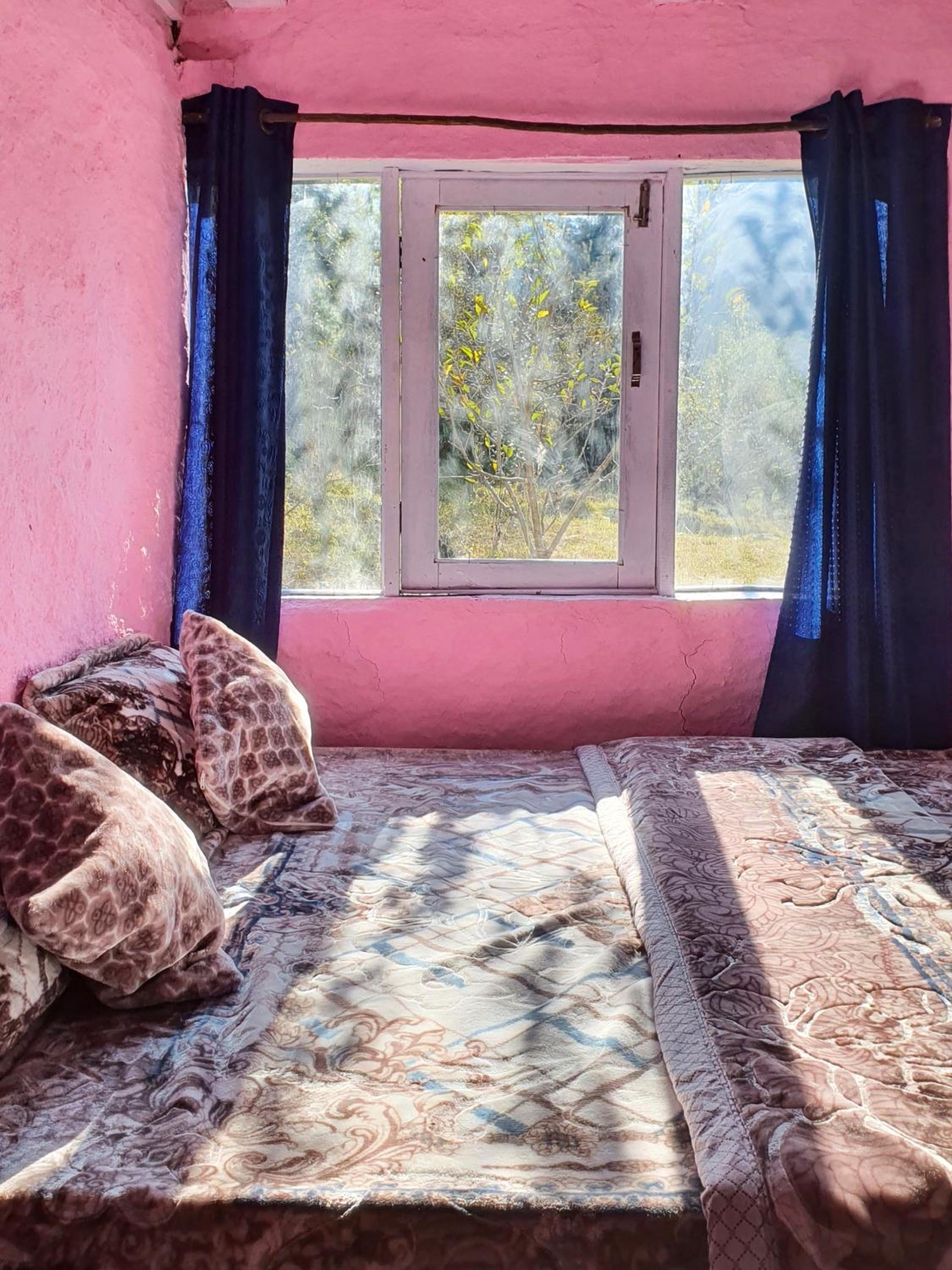 Mudhouse Cottage in Apple Orchard - Sainj Valley view 2