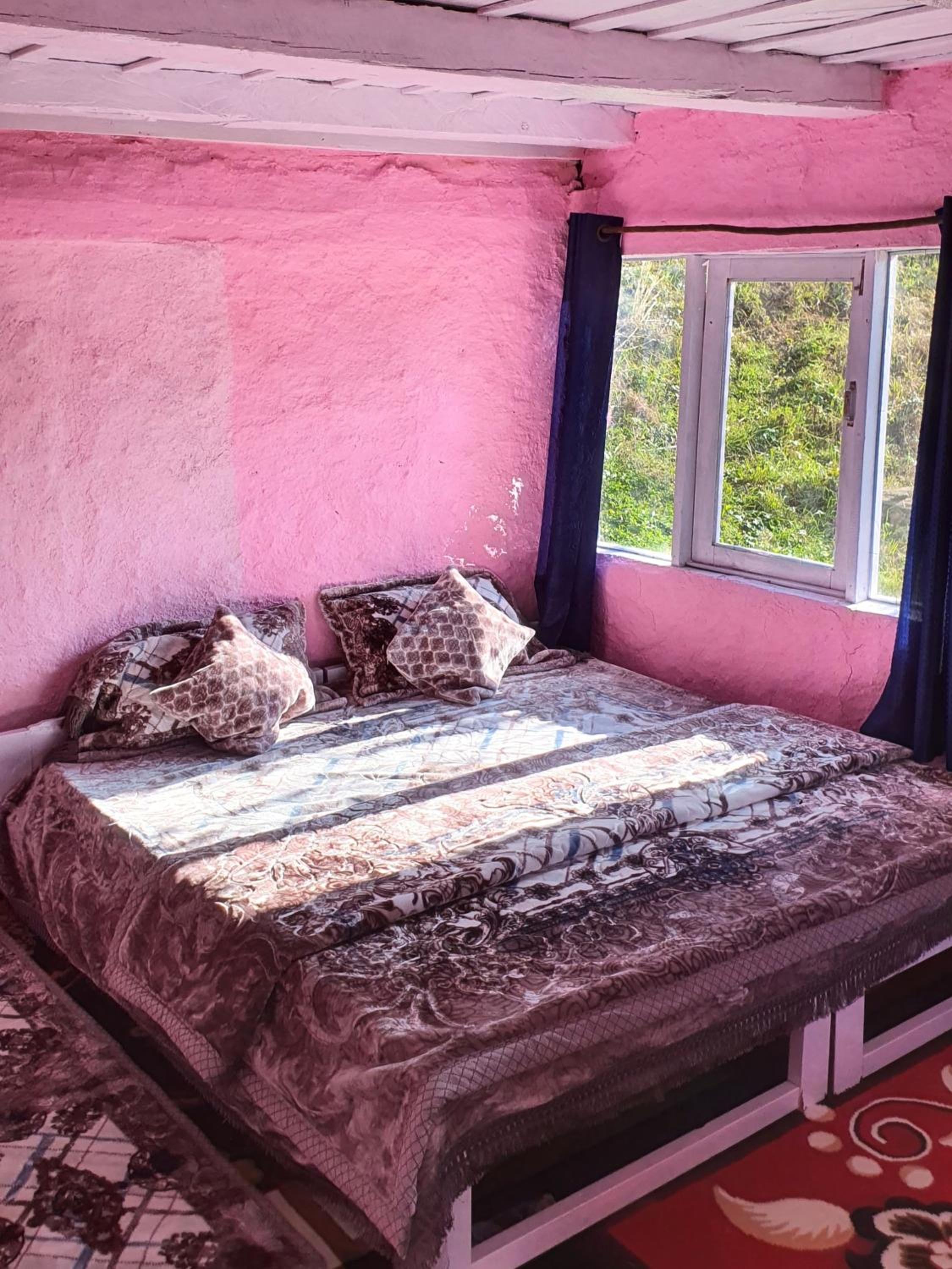 Mudhouse Cottage in Apple Orchard - Sainj Valley view 5