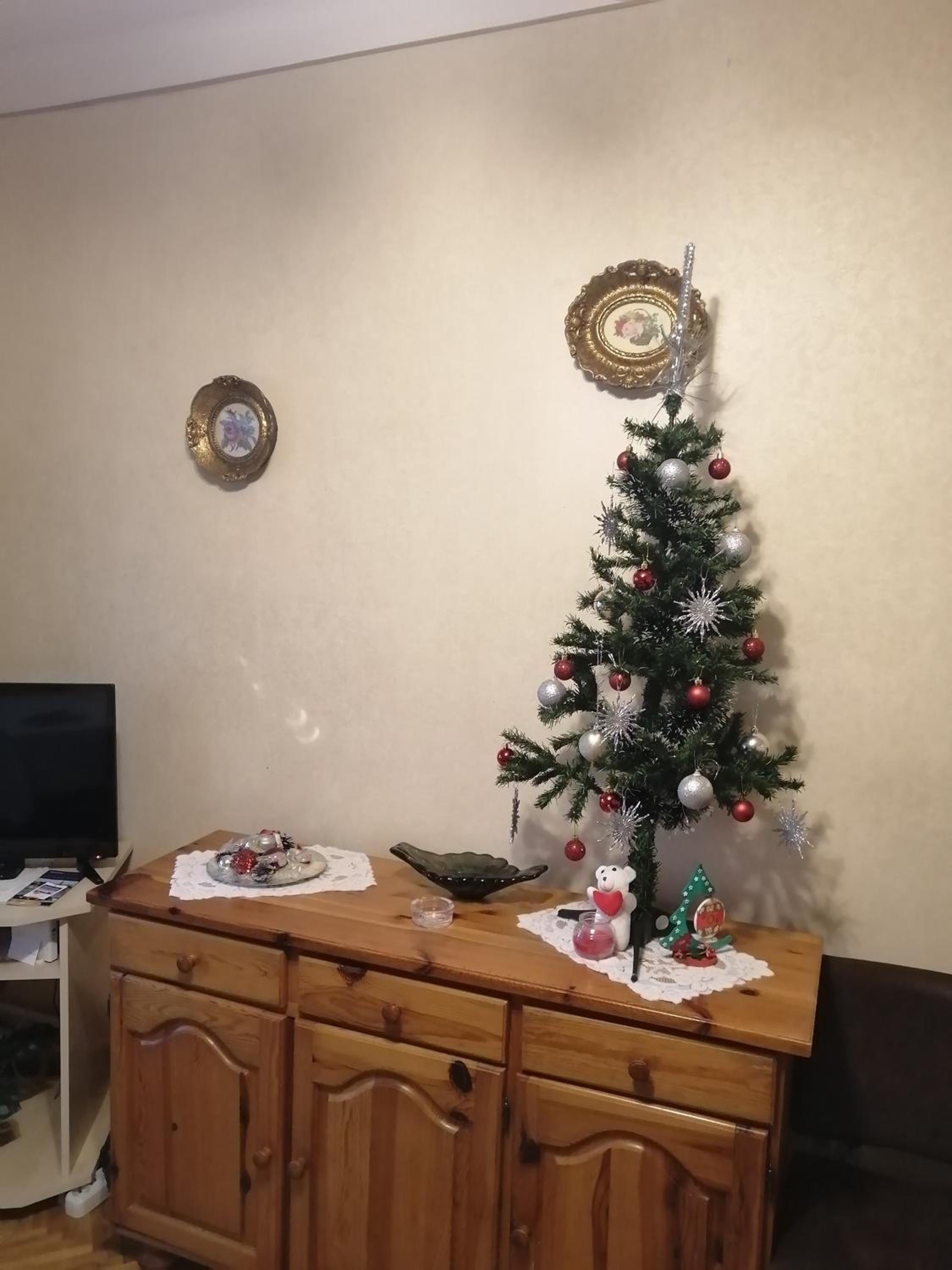 Zemunski mir view 3