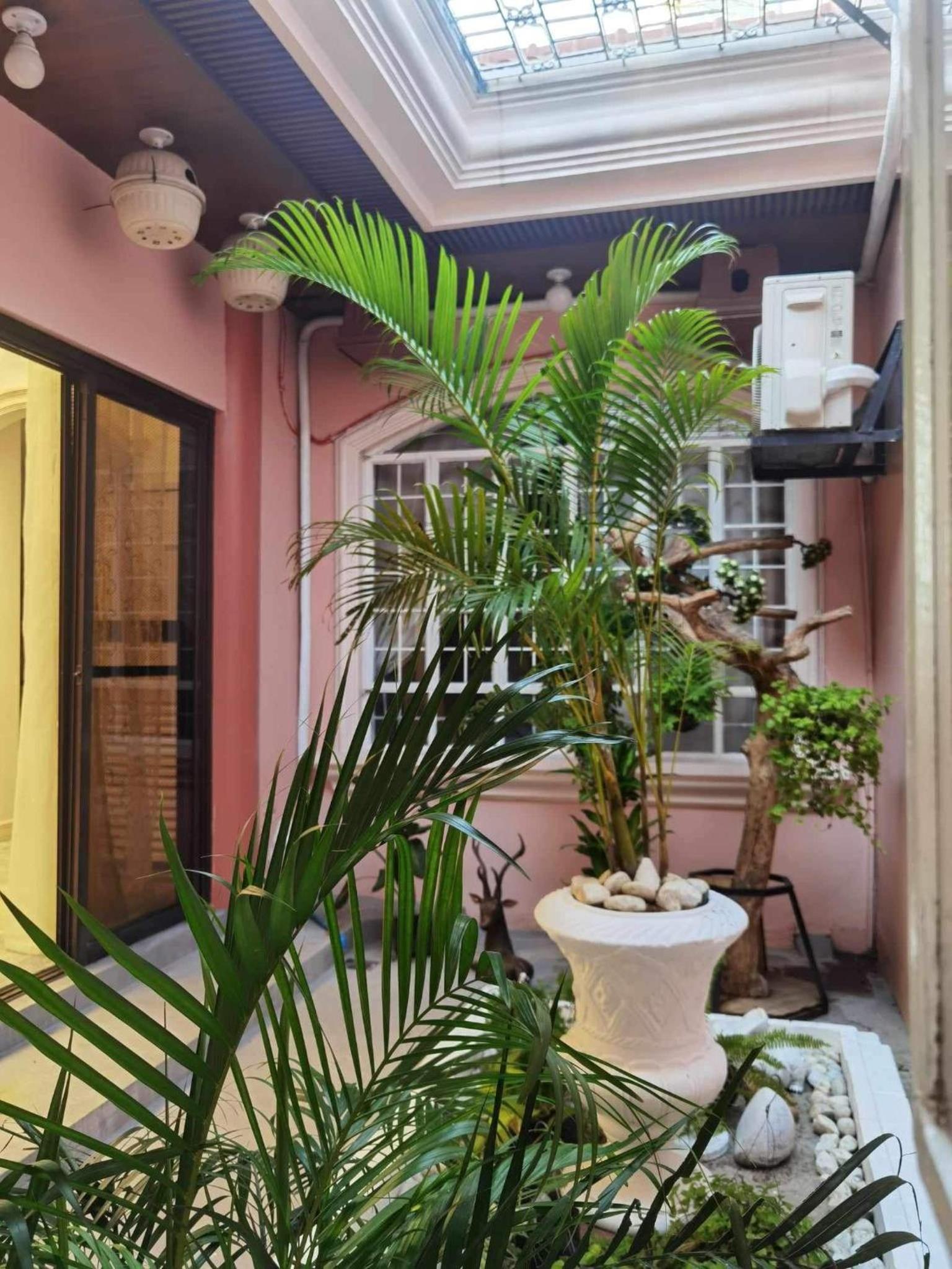 Tropical house