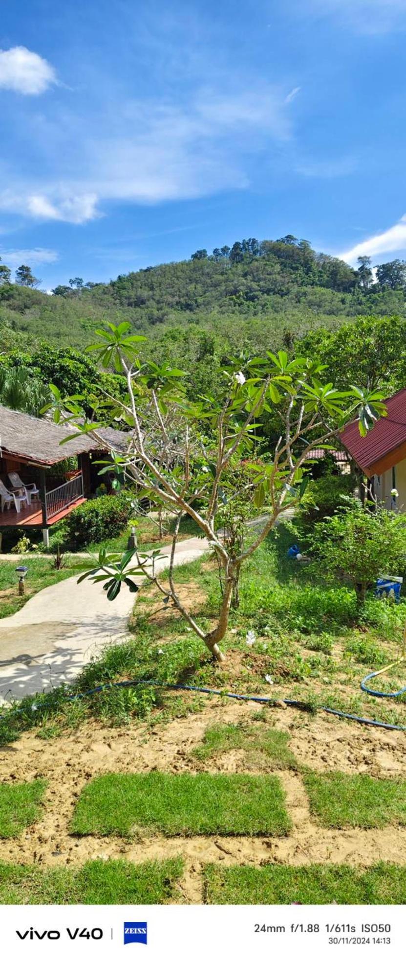 Mookies Bungalows